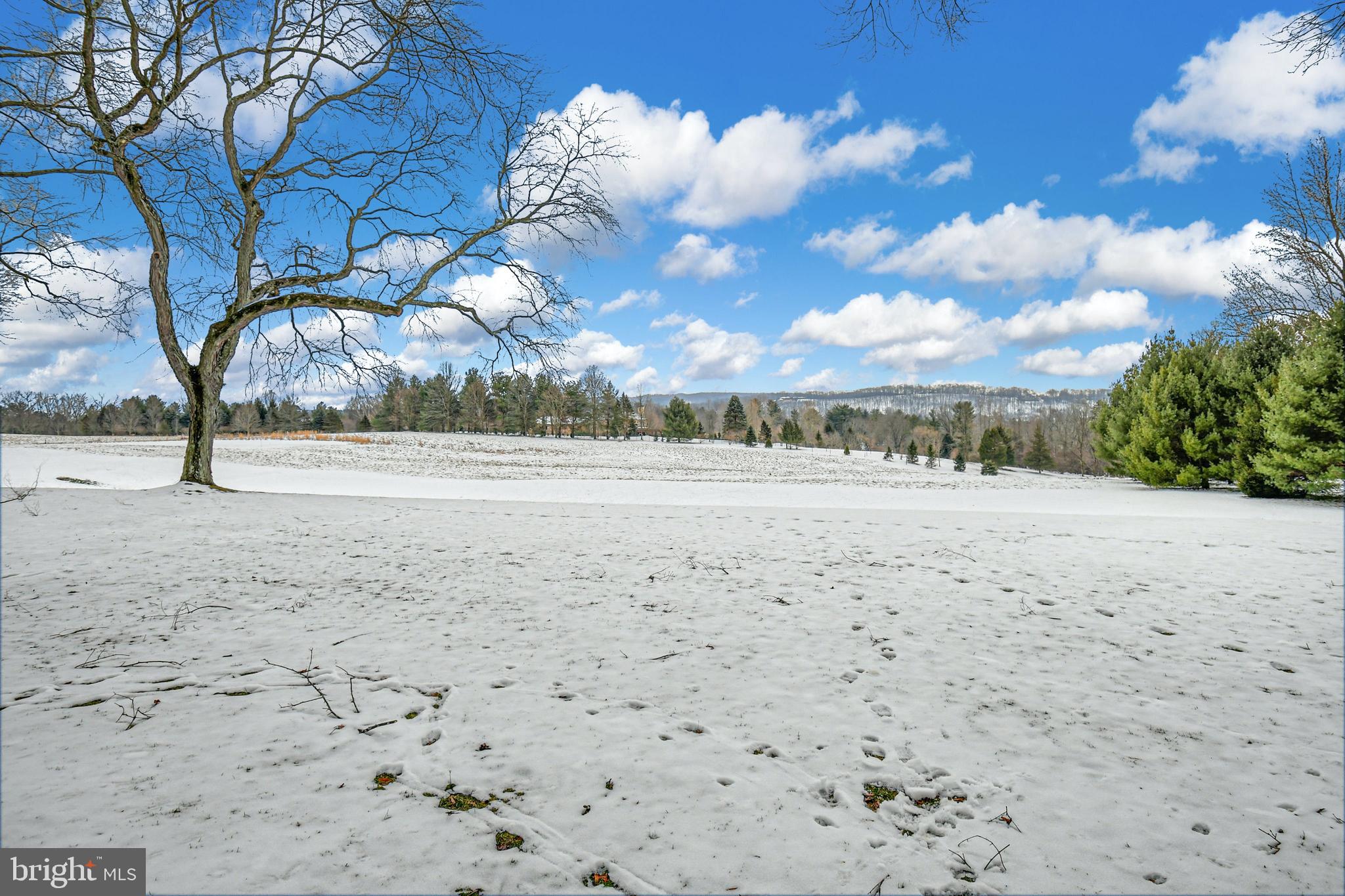 SAUCON VALLEY GARDEN - Residential