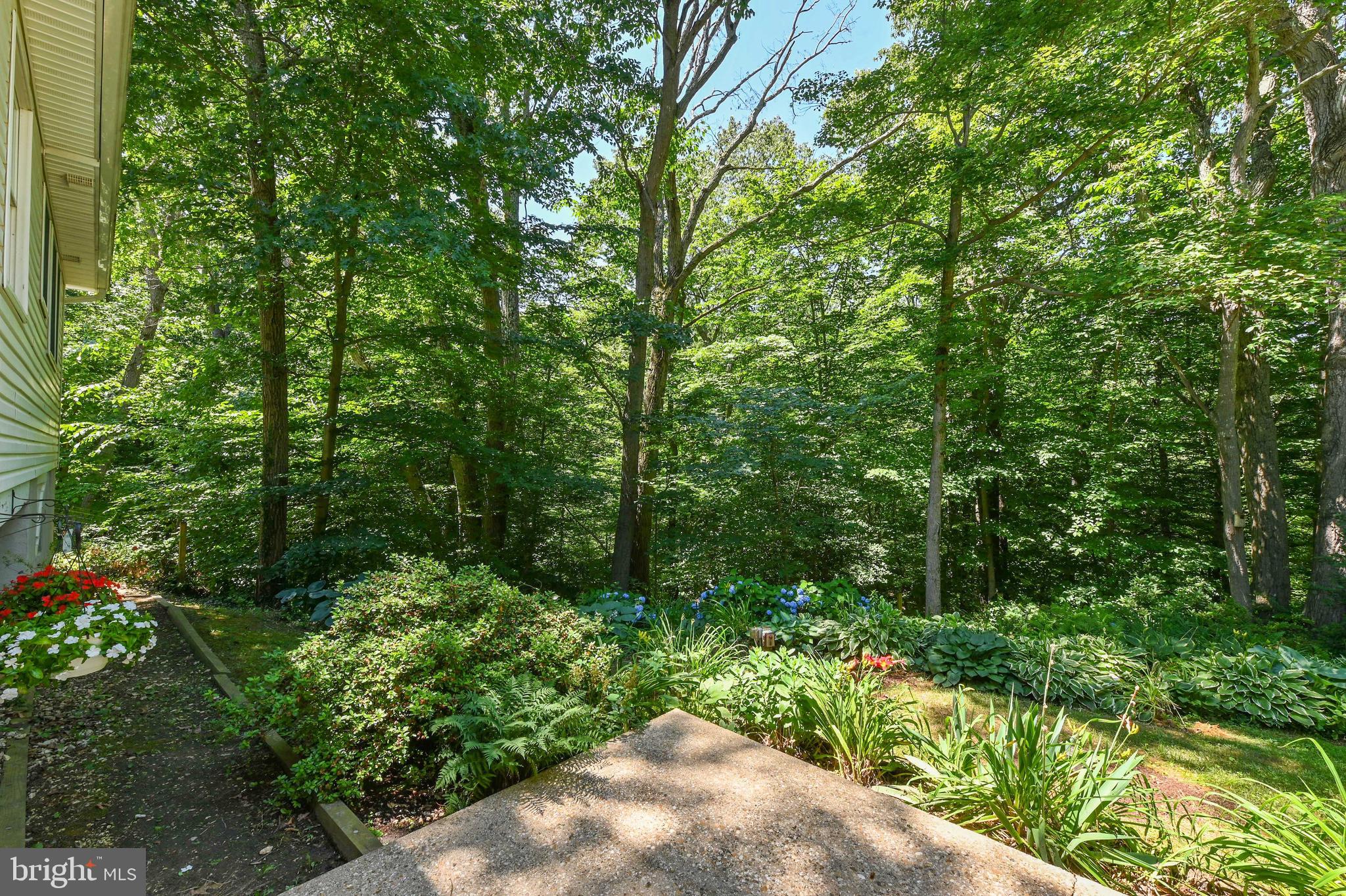 ROLLING KNOLLS - Residential