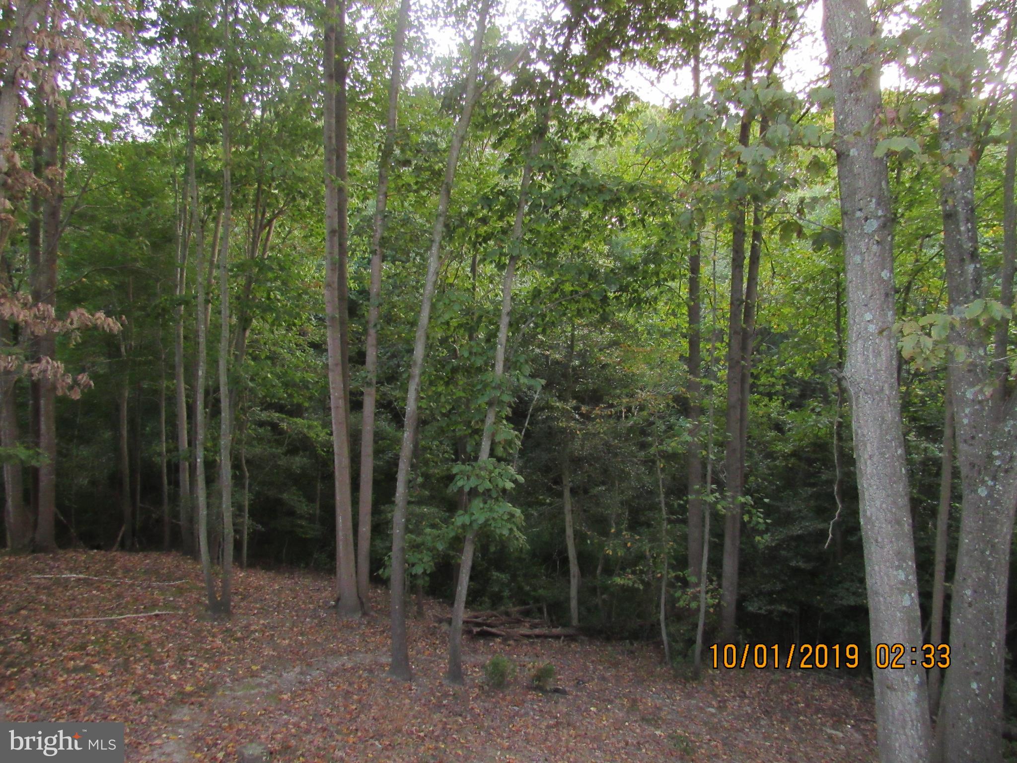 ULMSTEAD GARDENS - Residential Lease