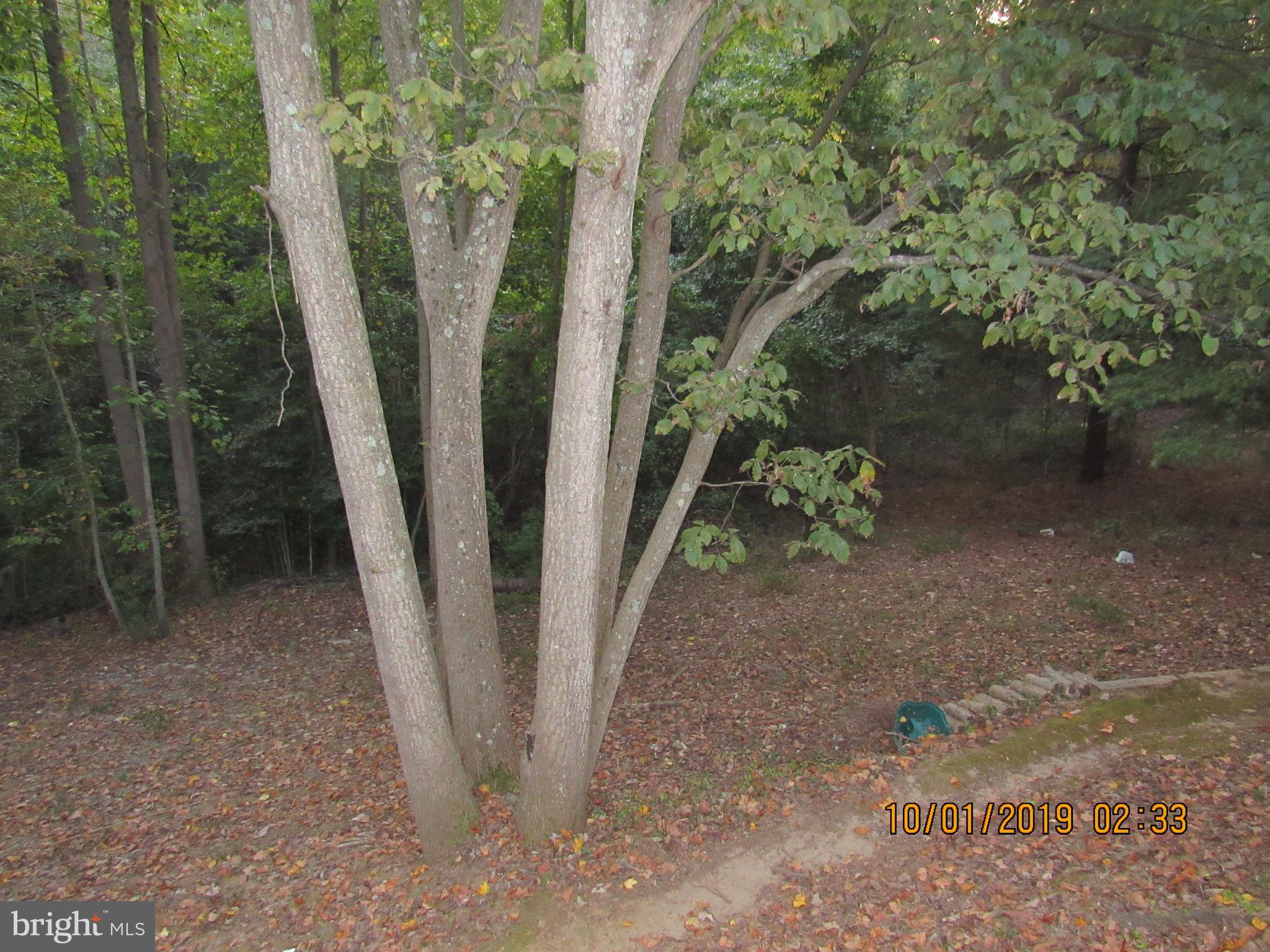 ULMSTEAD GARDENS - Residential Lease