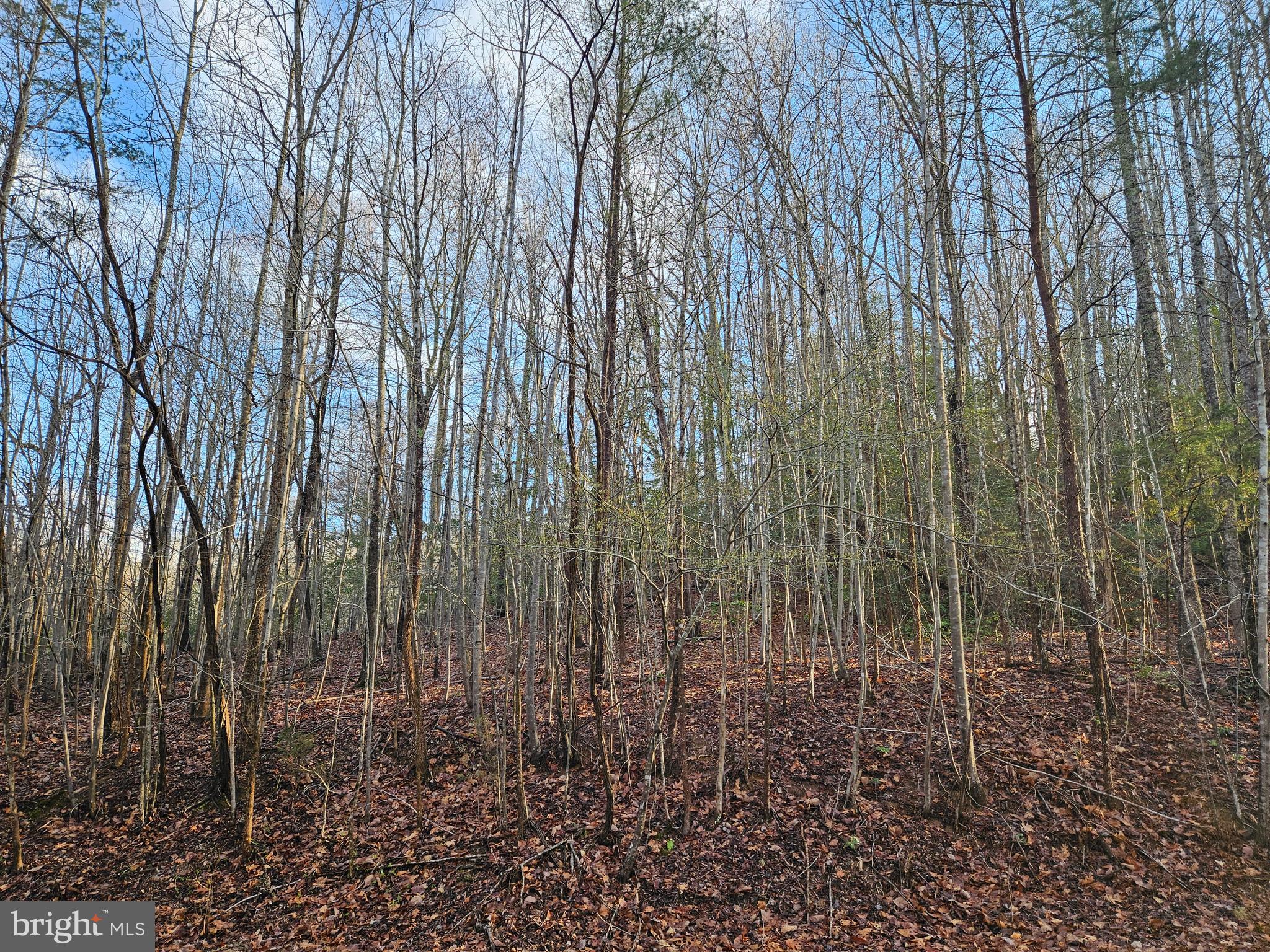 Lots 7,8,9 OLD PROSPECT LANDING ROAD