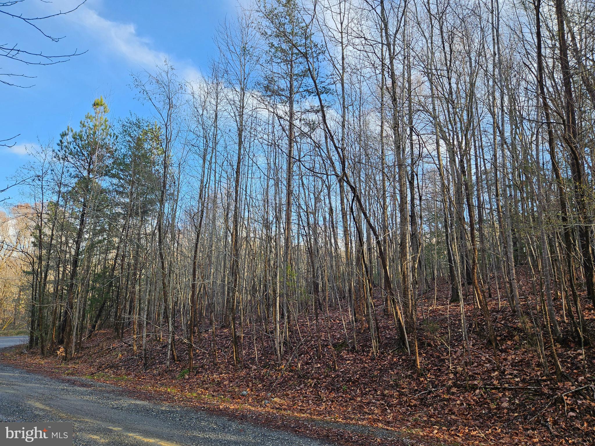 Lots 7,8,9 OLD PROSPECT LANDING ROAD