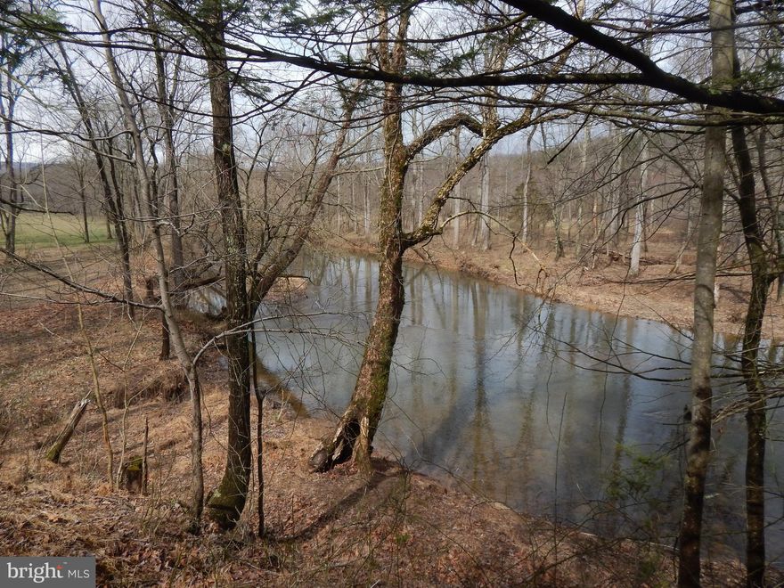 20.13 Private  Acres with upper wooded section, pasture and 1244'  frontage on the Sleepy Creek.  Enjoy a private oasis to build your dream home.  Looking to get back to nature?  Perfect land for your own farmette.    Mountain views, surveyed and perced.  Doublewides, horses, cows and chickens allowed.  Seller will add 3 deed restrictions.