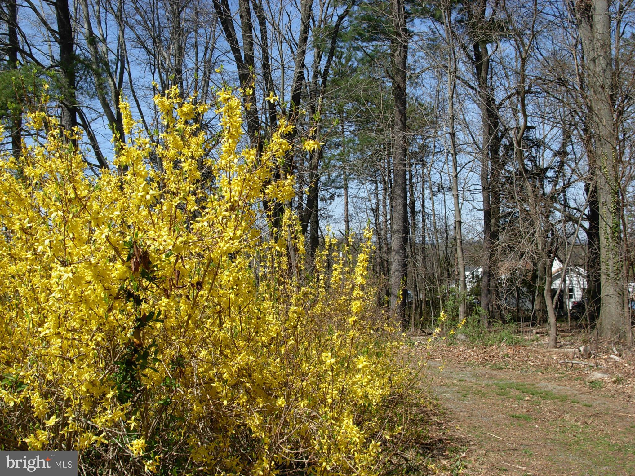 HAMILTON - Residential