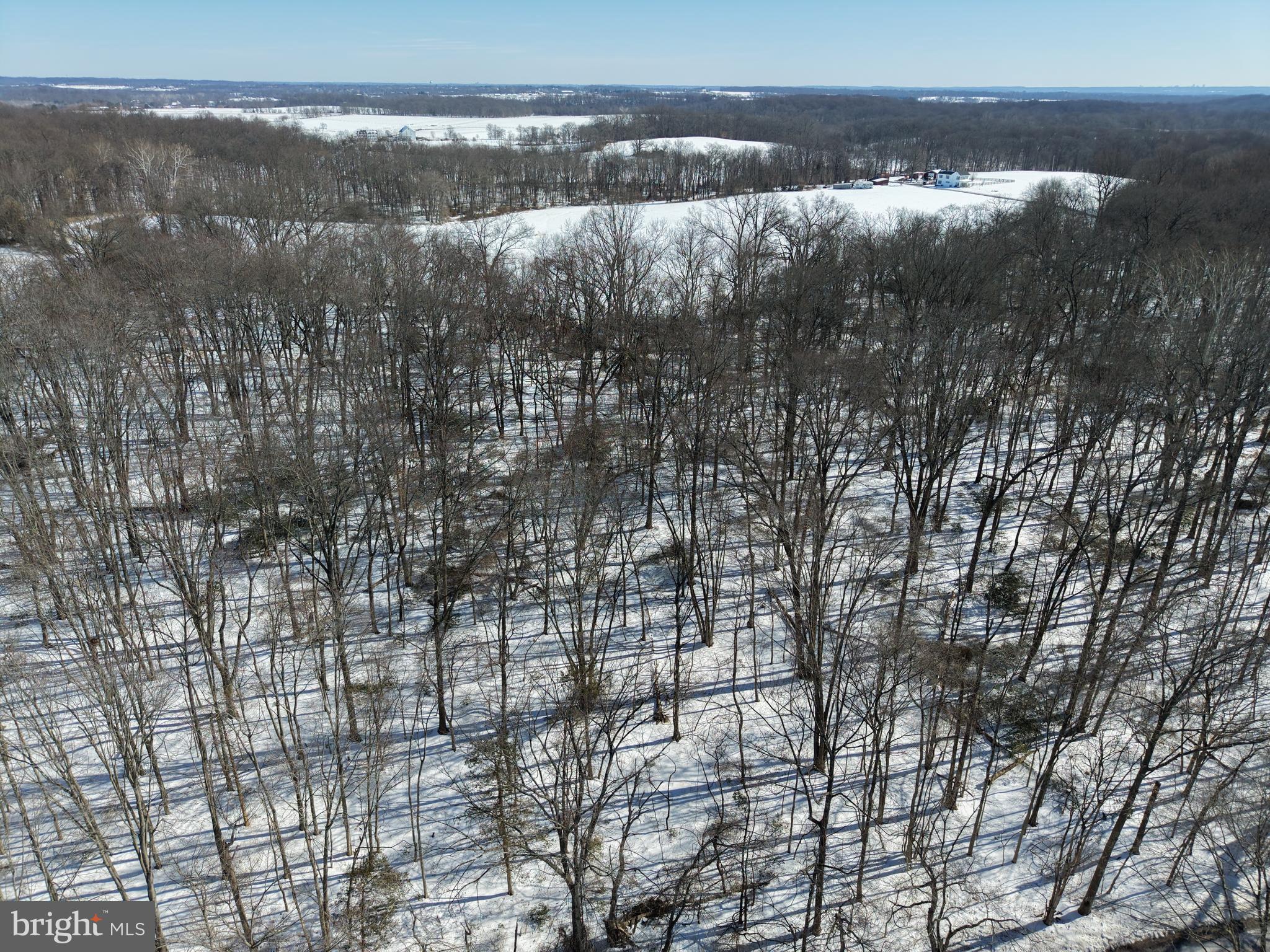 1+/- ACRE ELMER SCHOOL ROAD