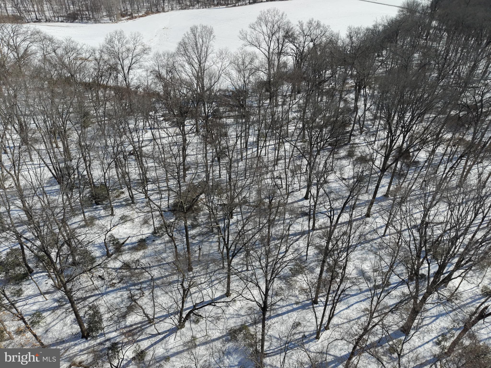 1+/- ACRE ELMER SCHOOL ROAD