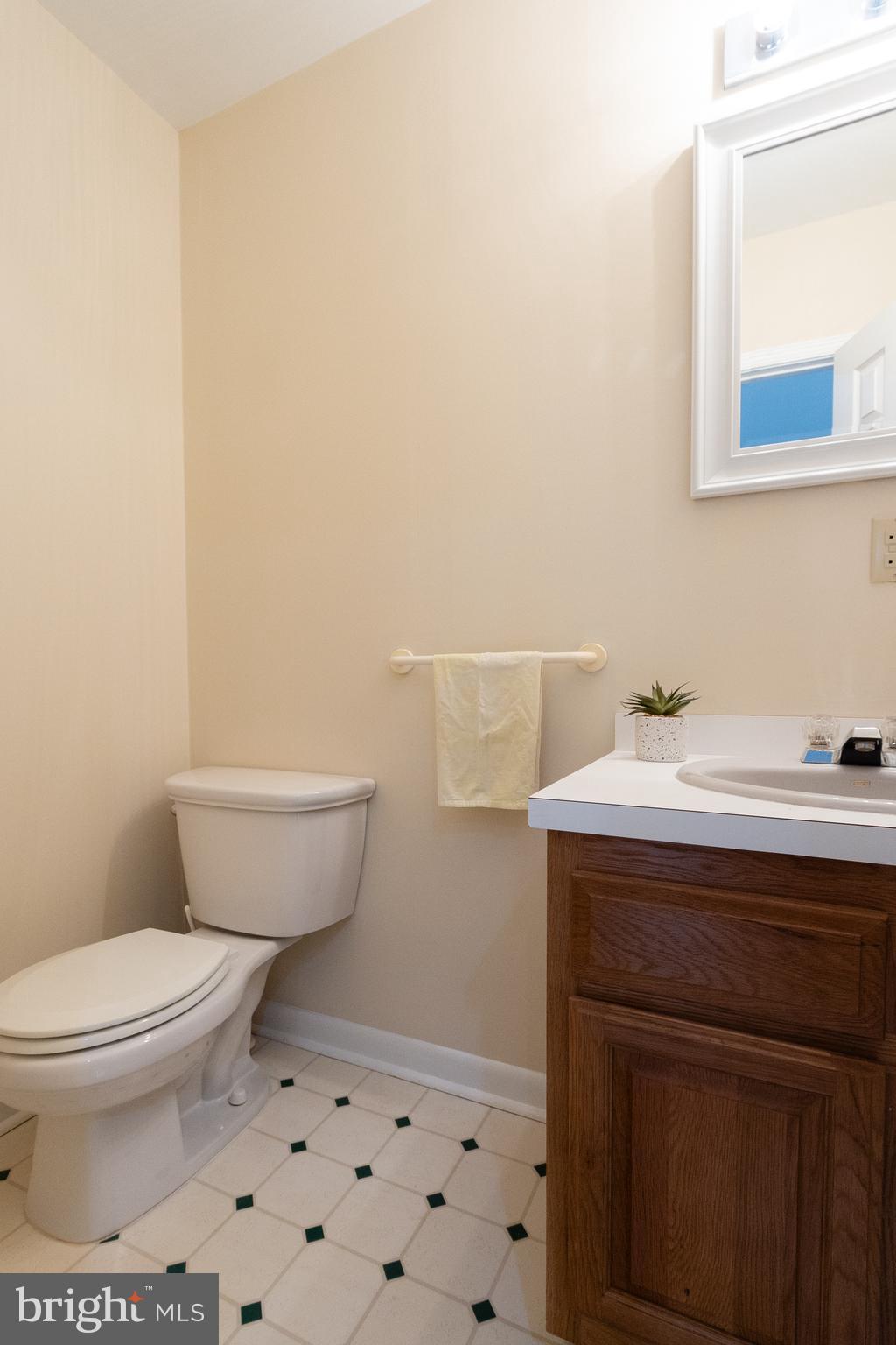 CHESTNUT RIDGE - Residential