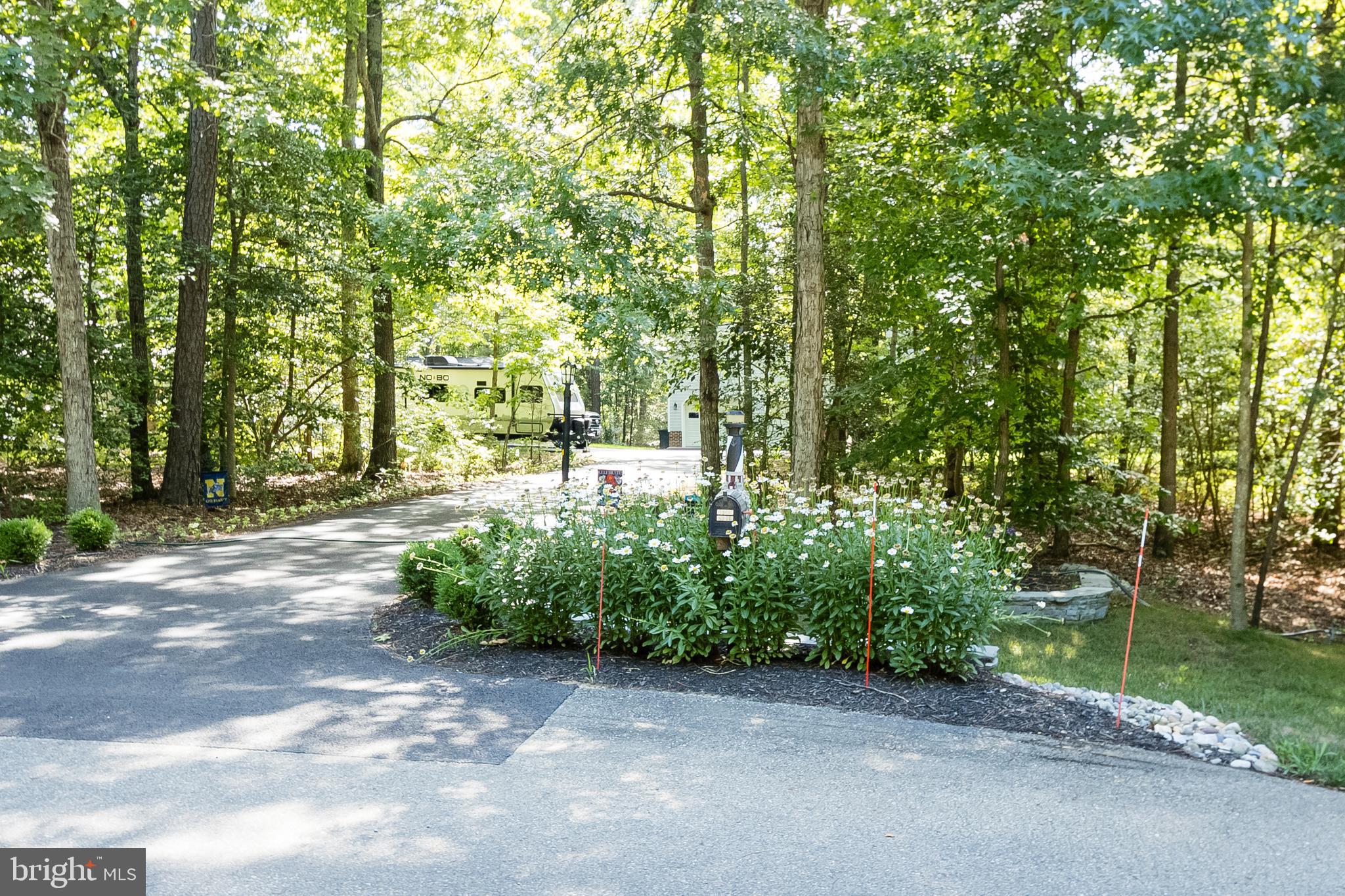 CHESTNUT RIDGE - Residential