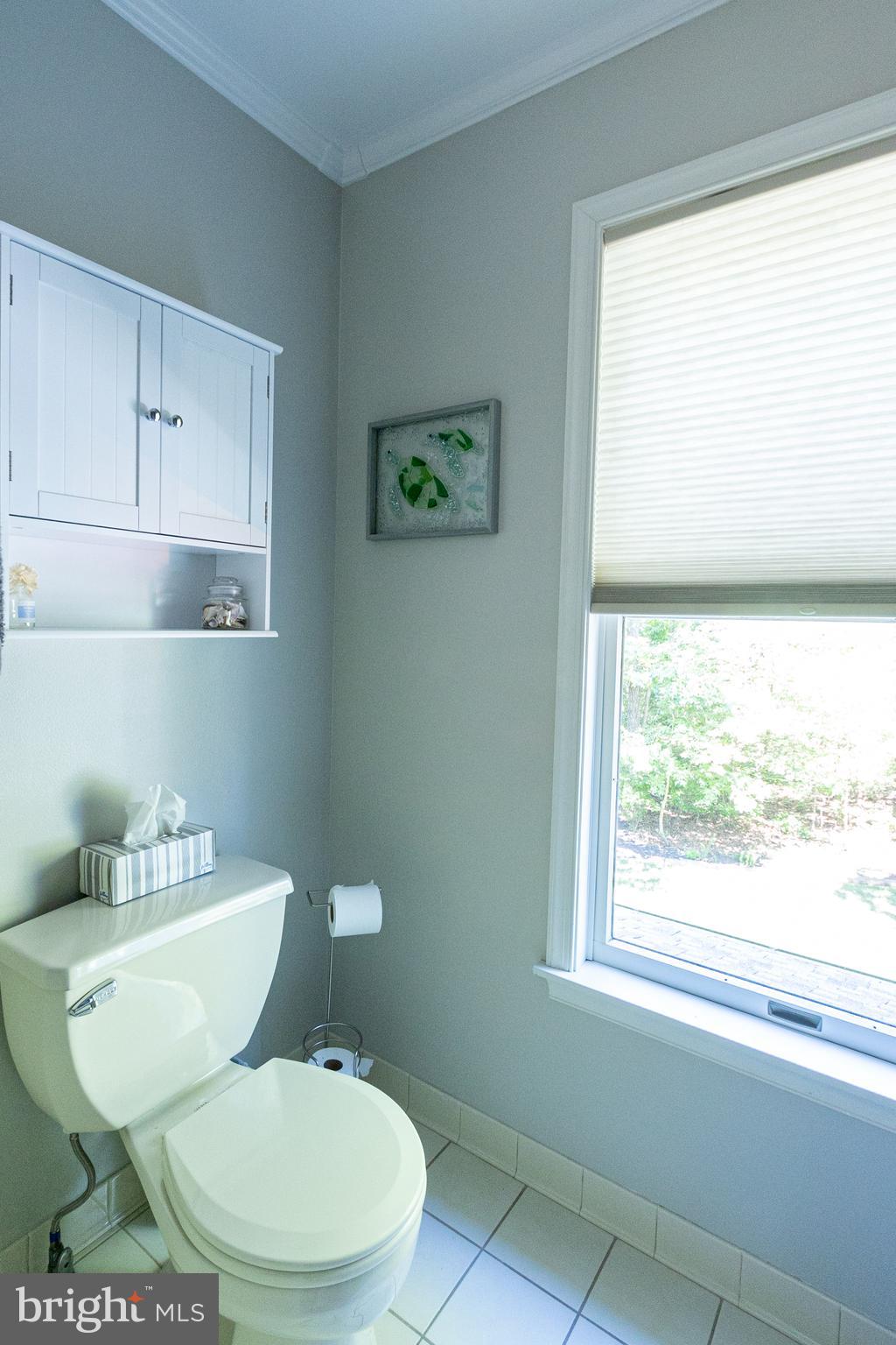 CHESTNUT RIDGE - Residential