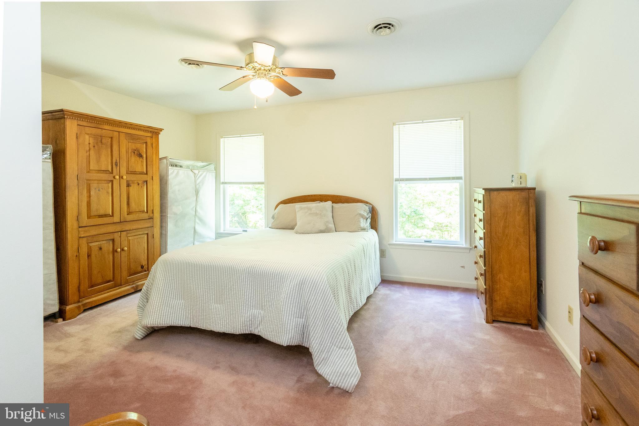 CHESTNUT RIDGE - Residential