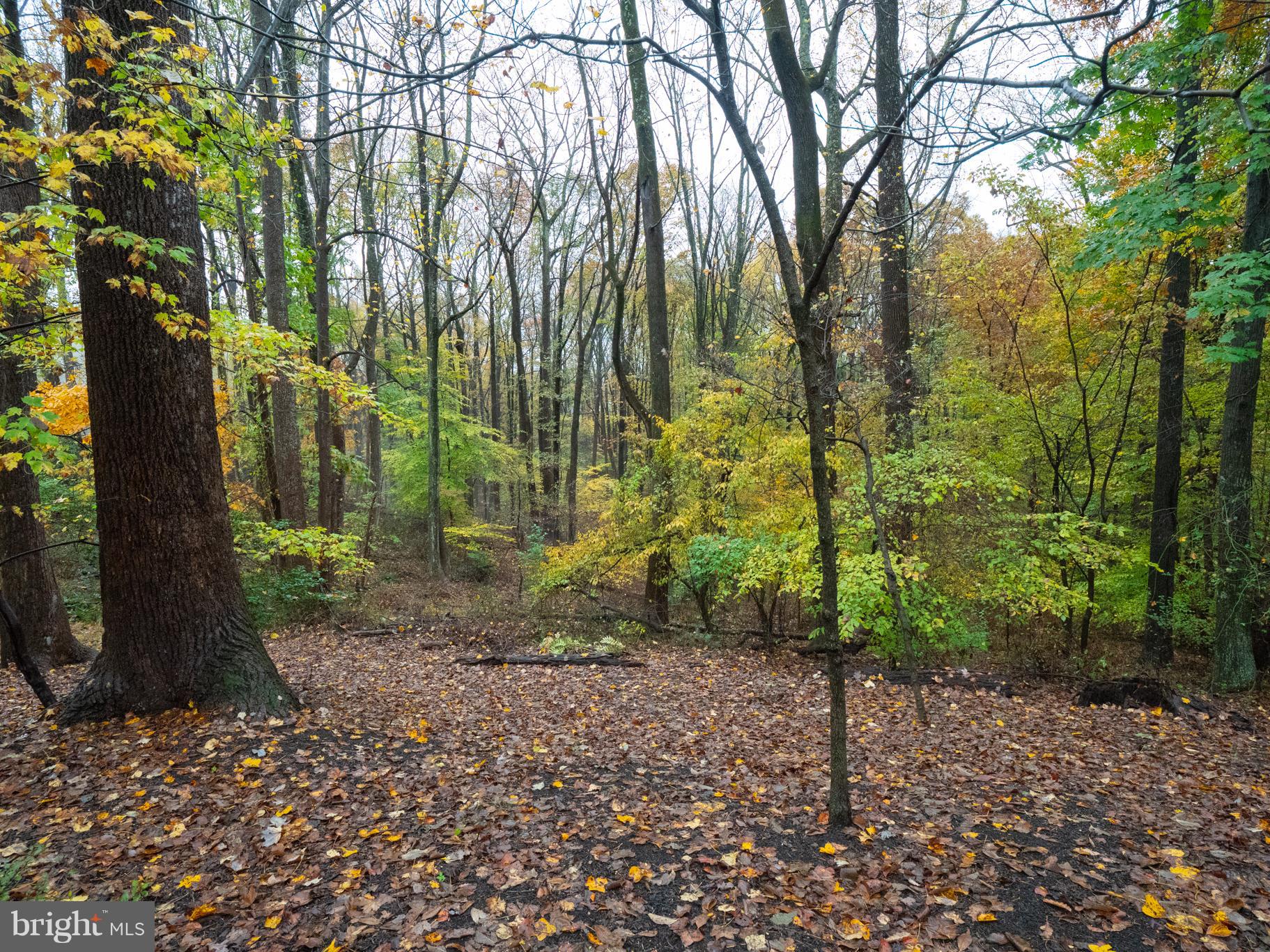 HARBOR OAKS - Residential