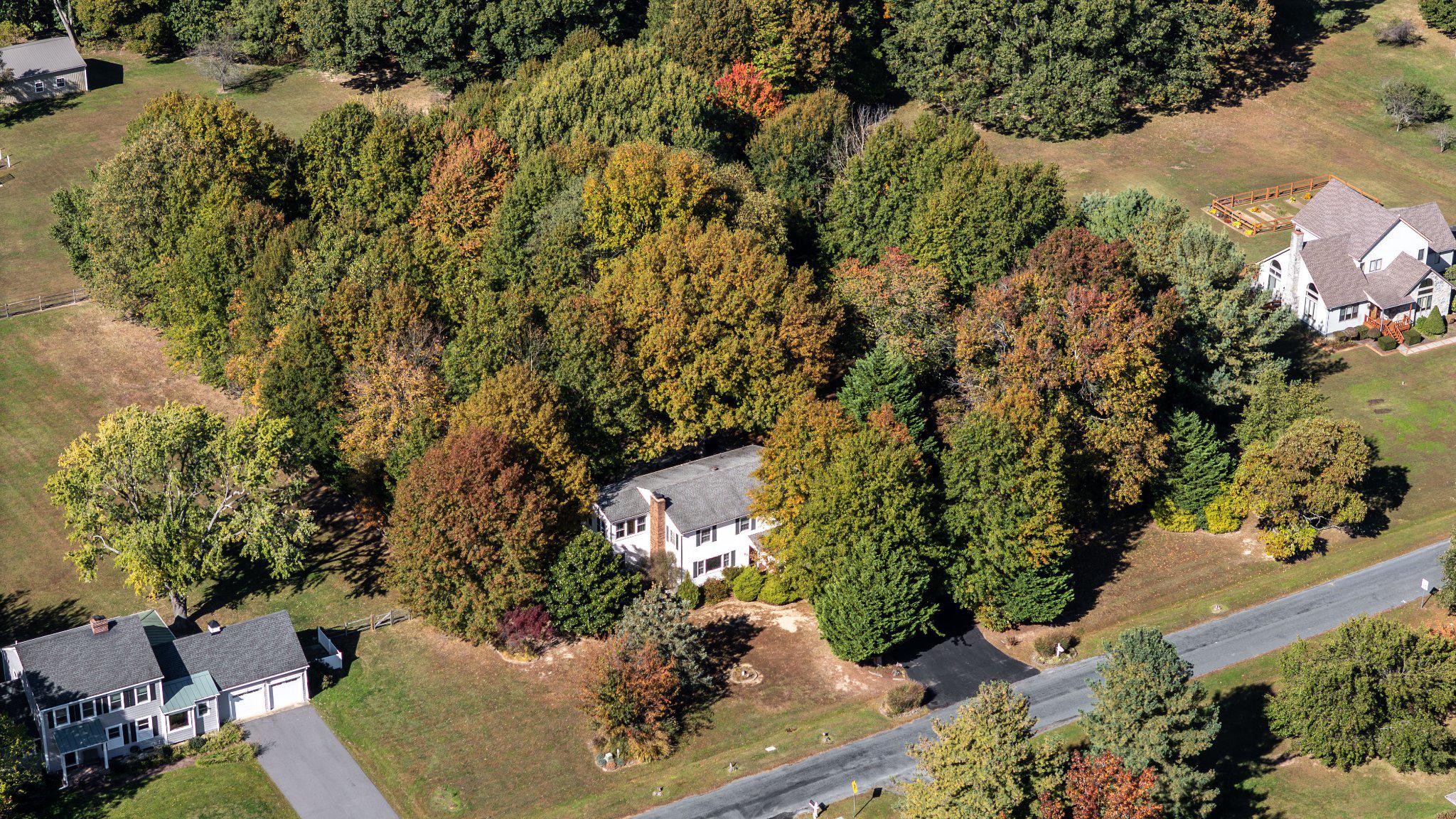 TOLCHESTER - Residential