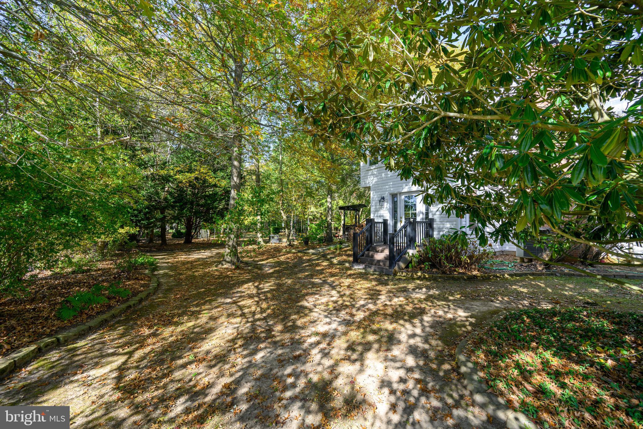 TOLCHESTER - Residential