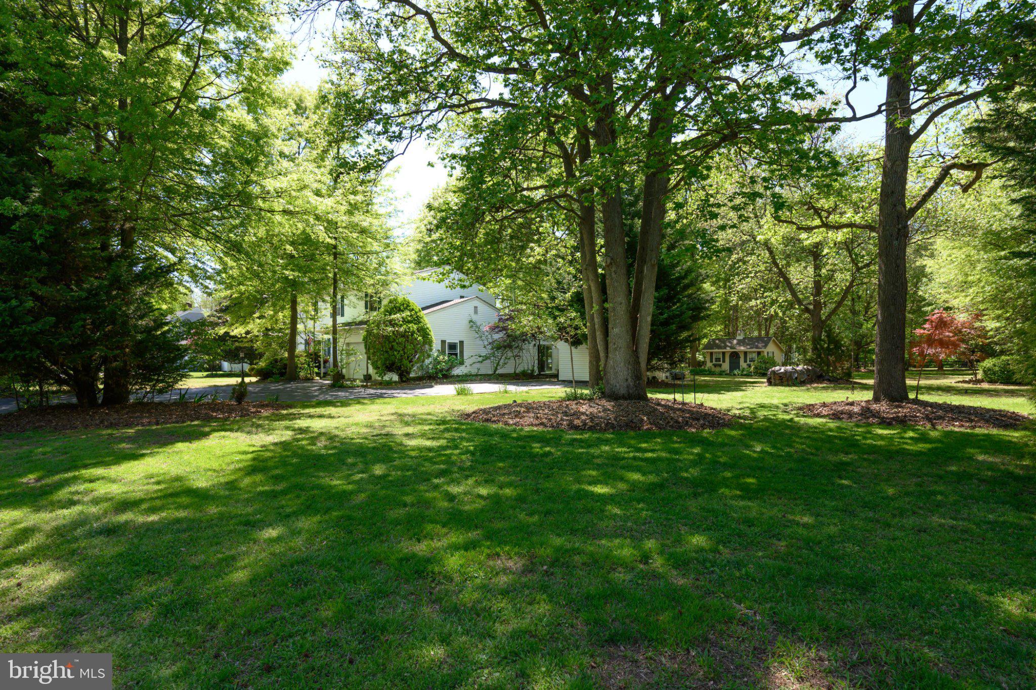 TOLCHESTER - Residential