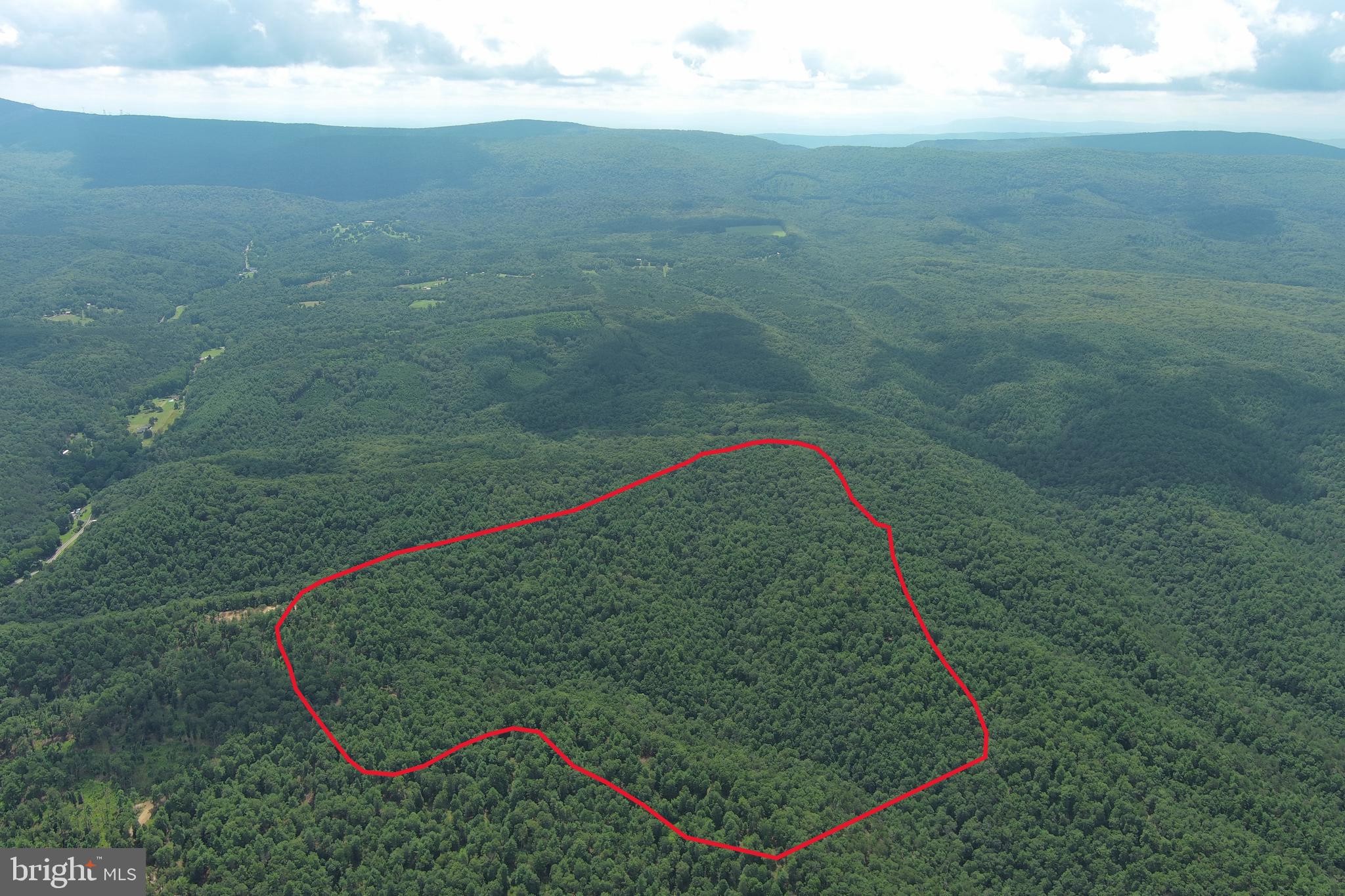 113 ACRES OFF CAPON SPRINGS ROAD