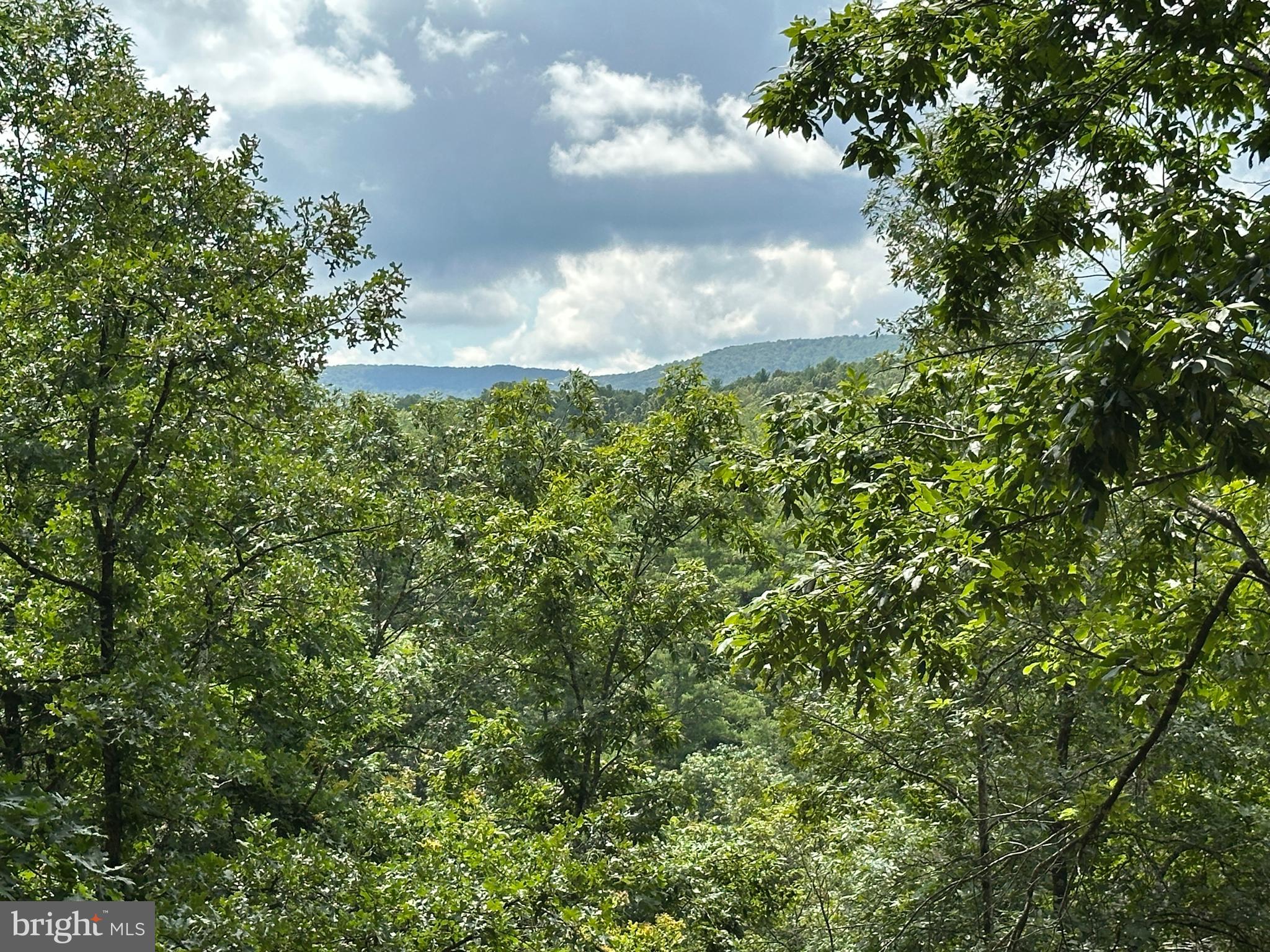 113 ACRES OFF CAPON SPRINGS ROAD
