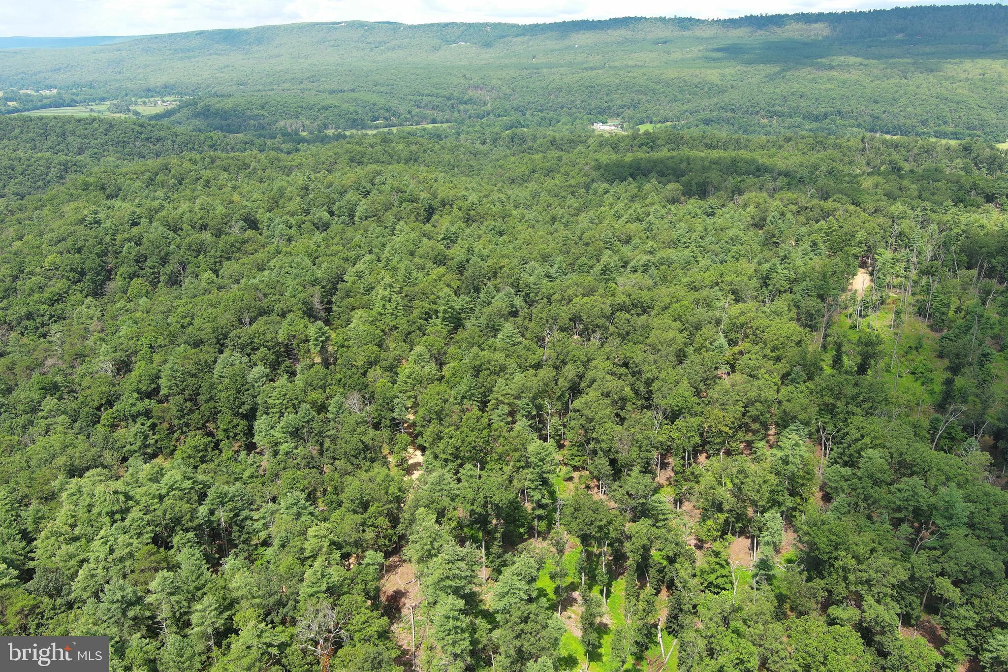 NONE AVAILABLE - Land