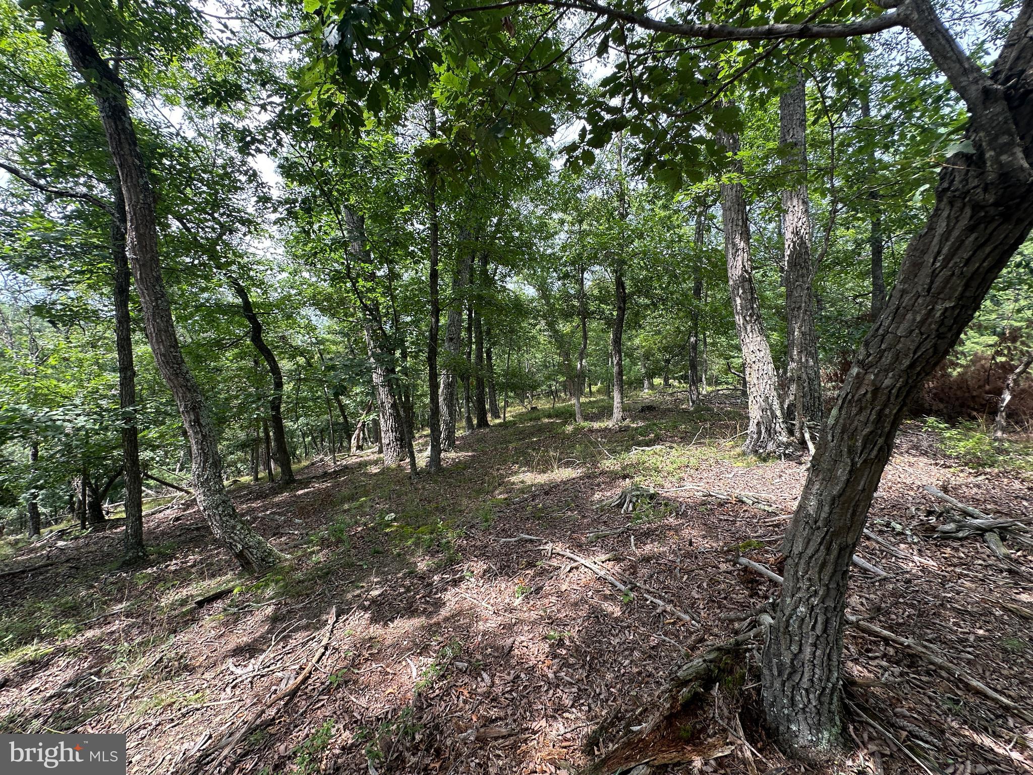 NONE AVAILABLE - Land