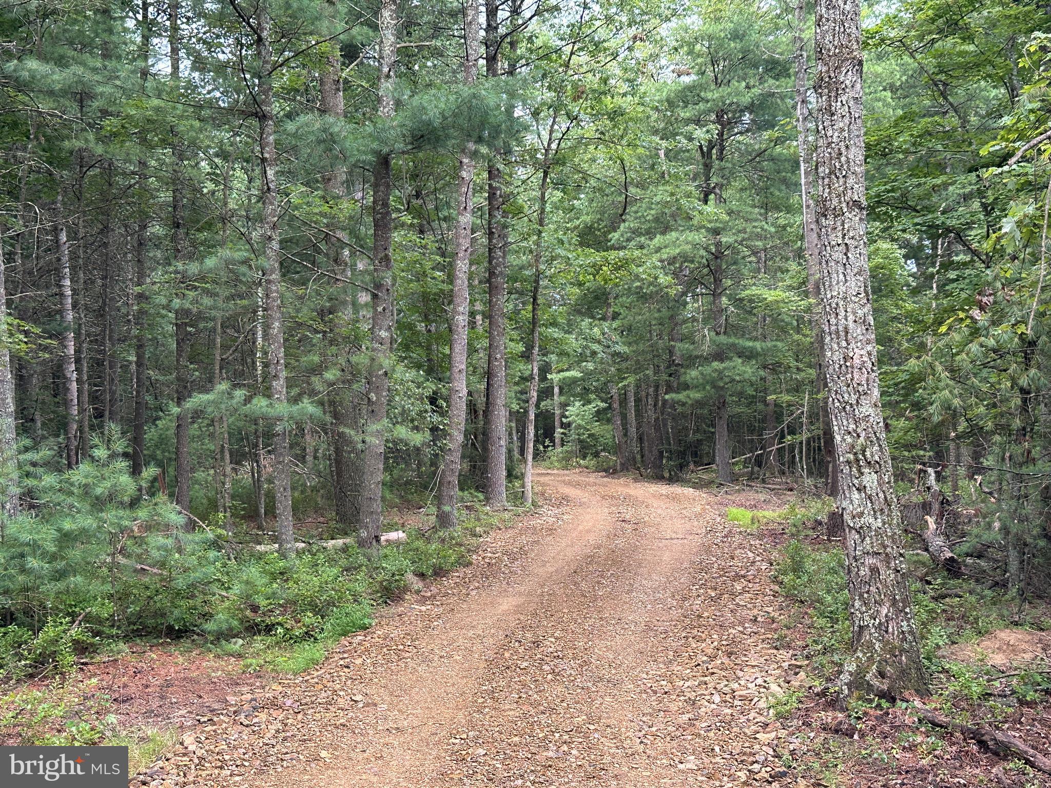 NONE AVAILABLE - Land