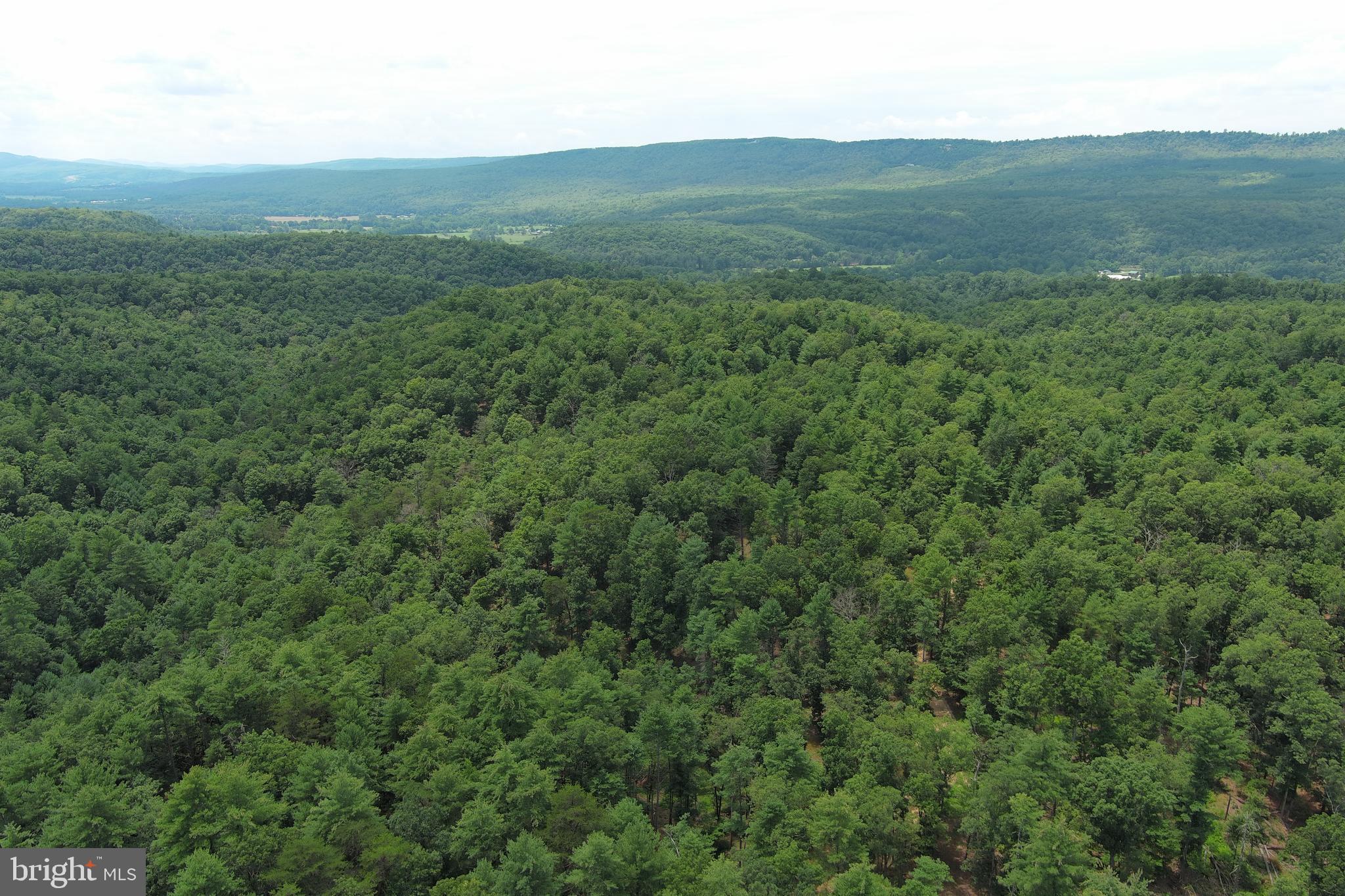 NONE AVAILABLE - Land