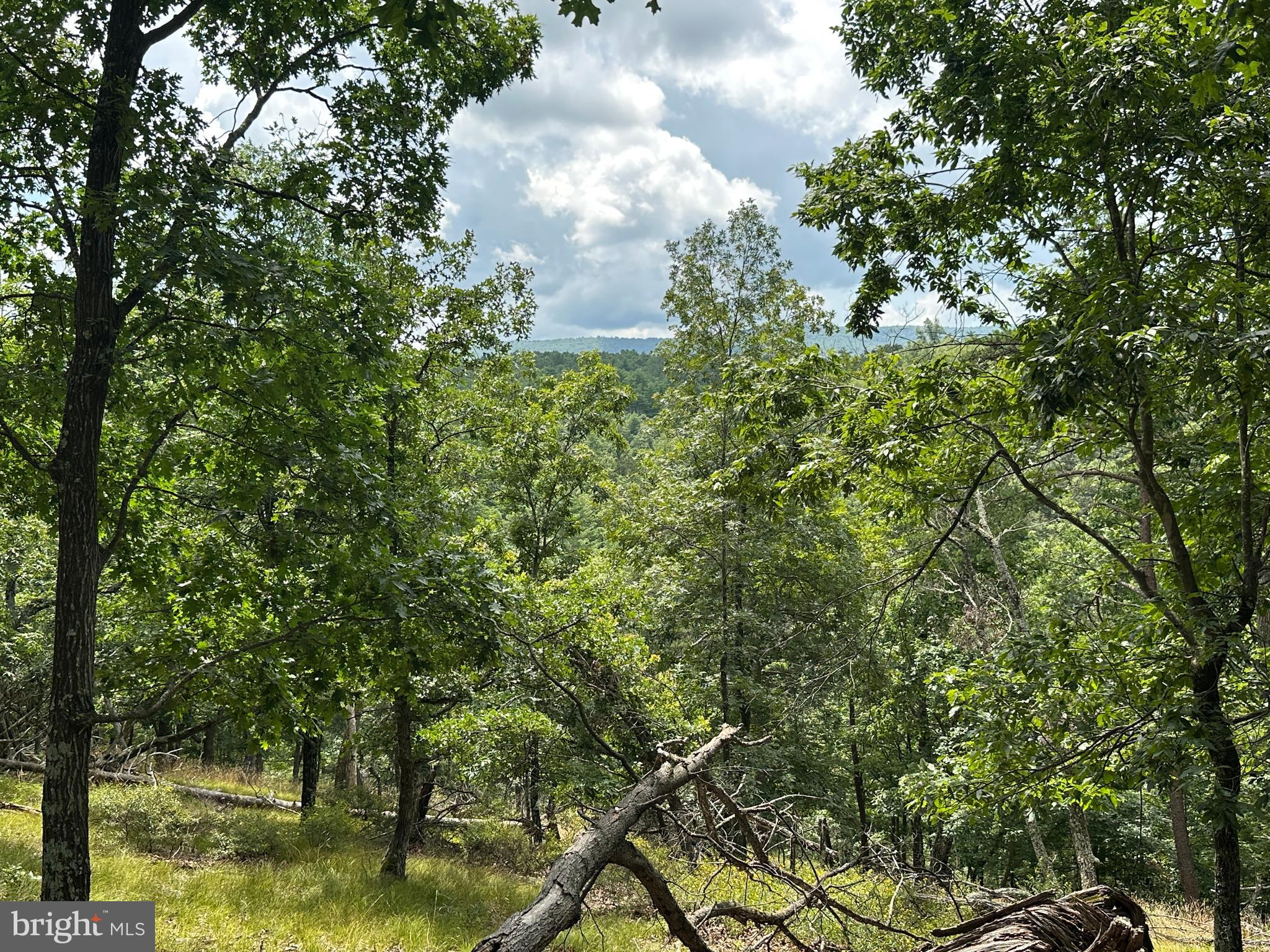 113 ACRES OFF CAPON SPRINGS ROAD