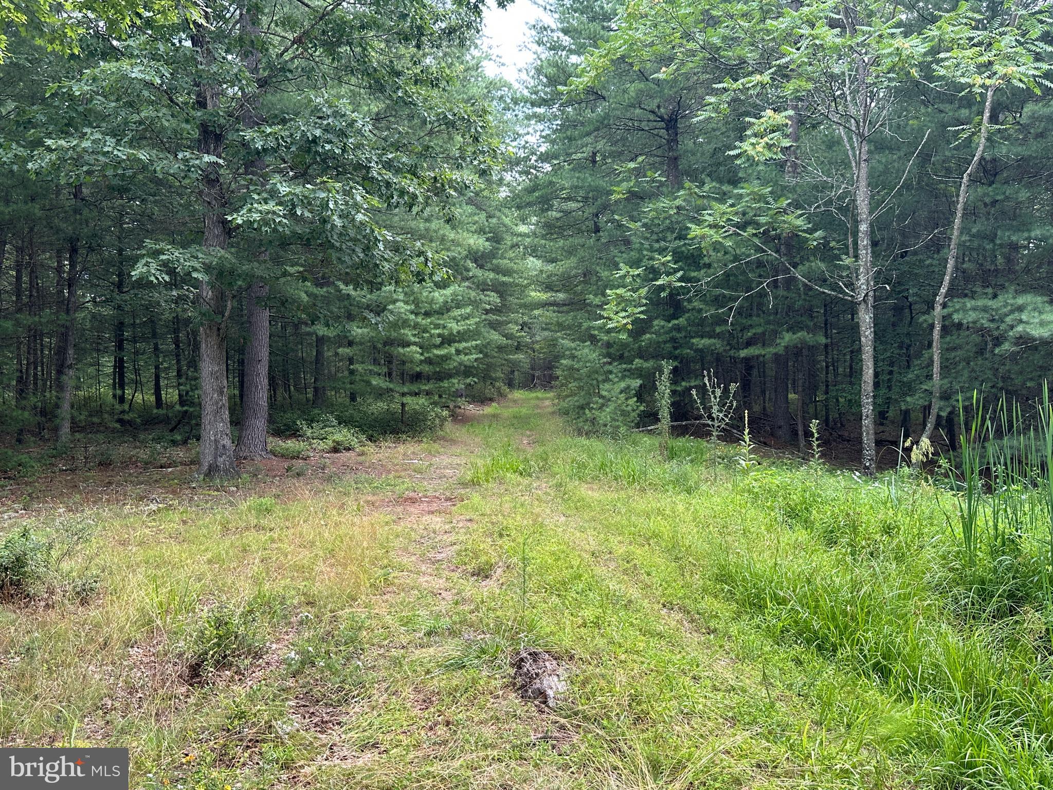 NONE AVAILABLE - Land