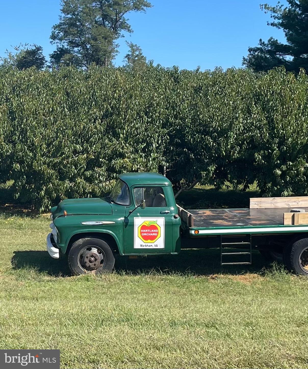 VISCOSE CITY - Residential