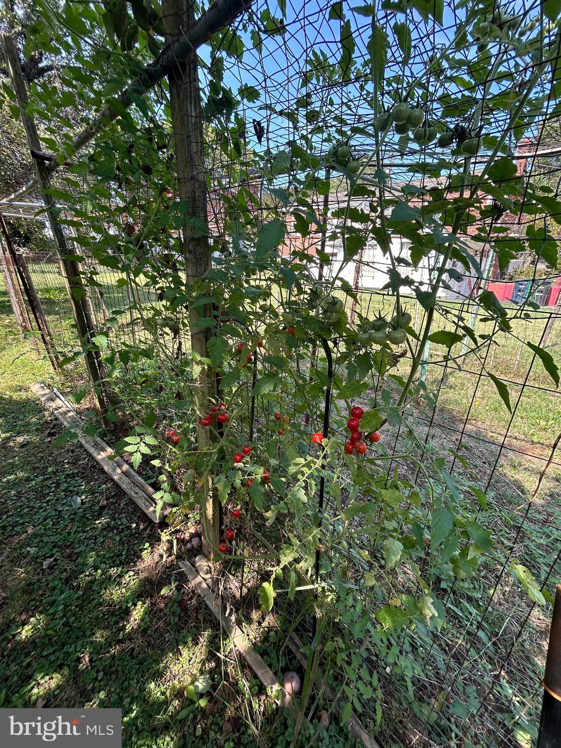 MURRAY HILL - Residential