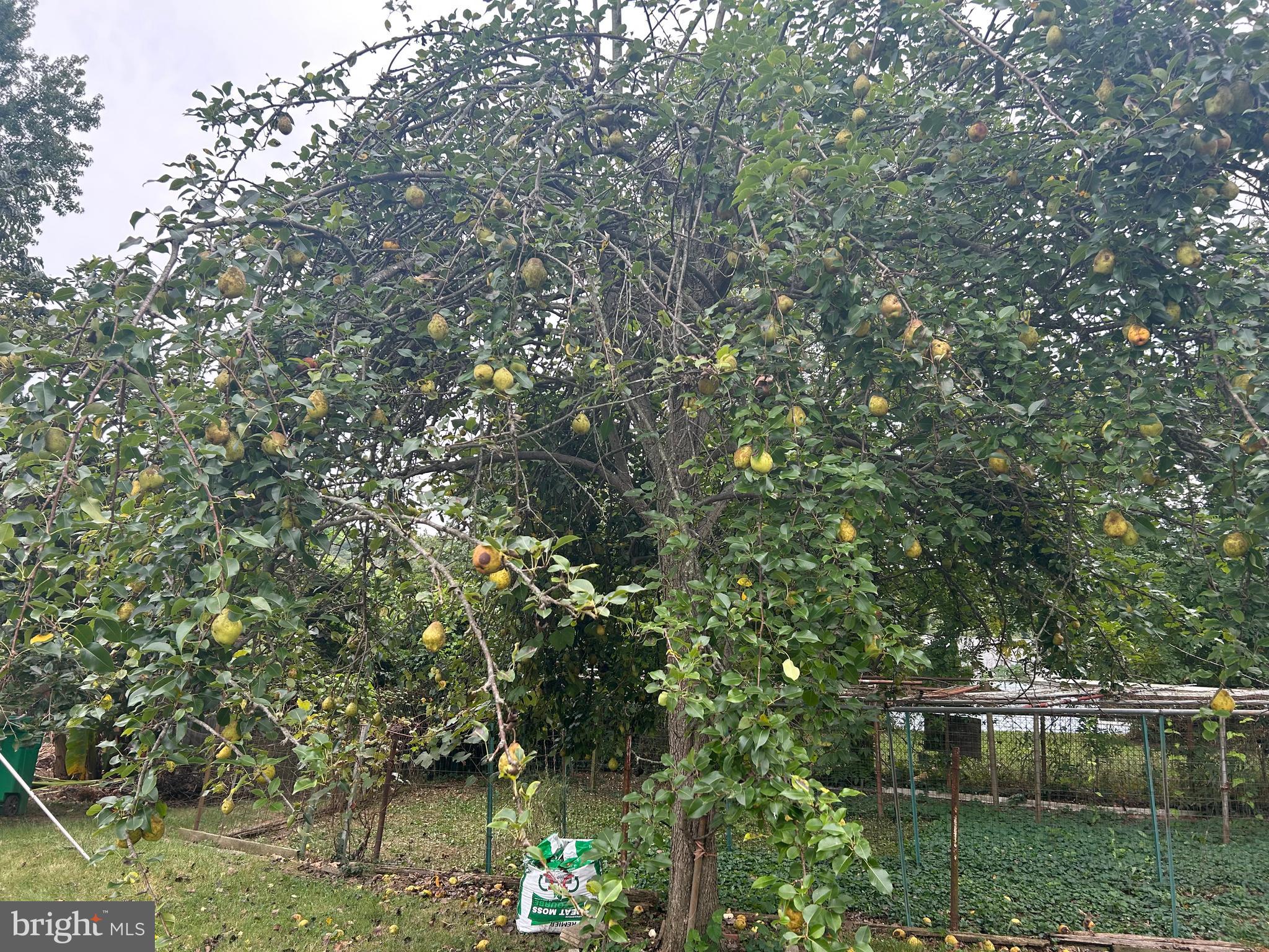 MURRAY HILL - Residential