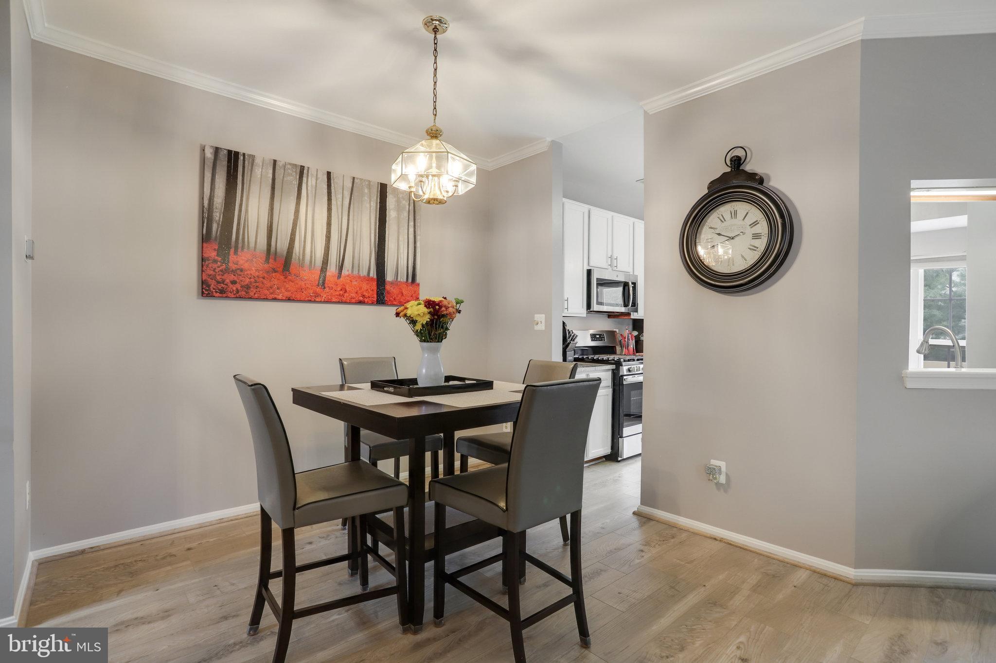 ASHBURN VILLAGE - Residential