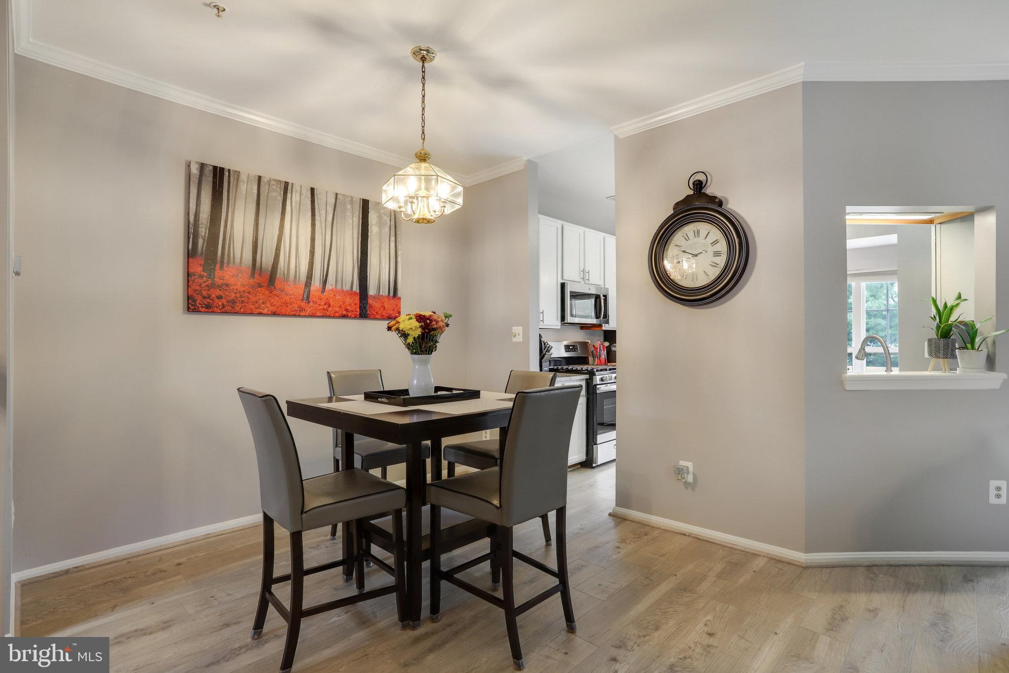 ASHBURN VILLAGE - Residential