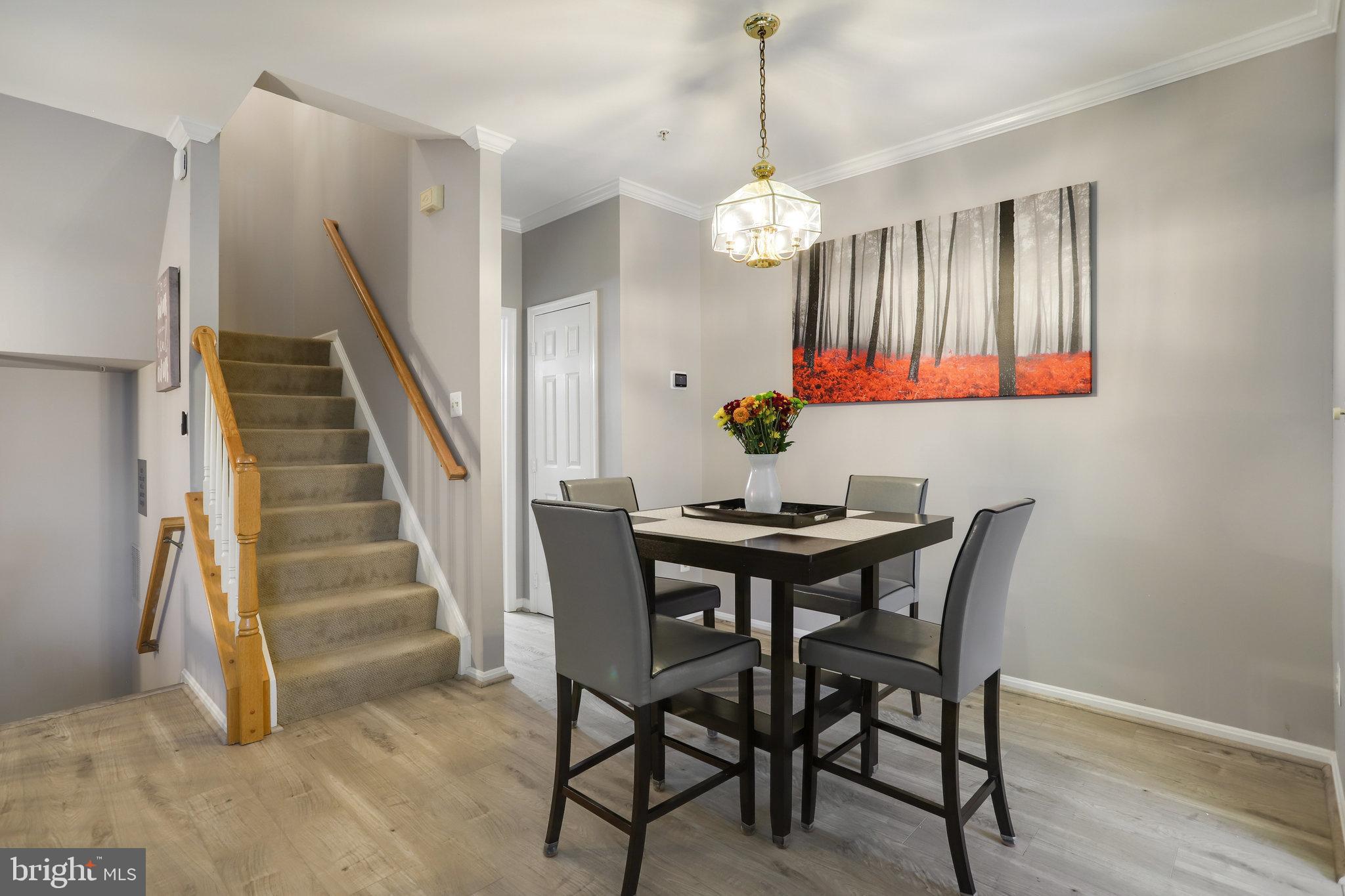 ASHBURN VILLAGE - Residential