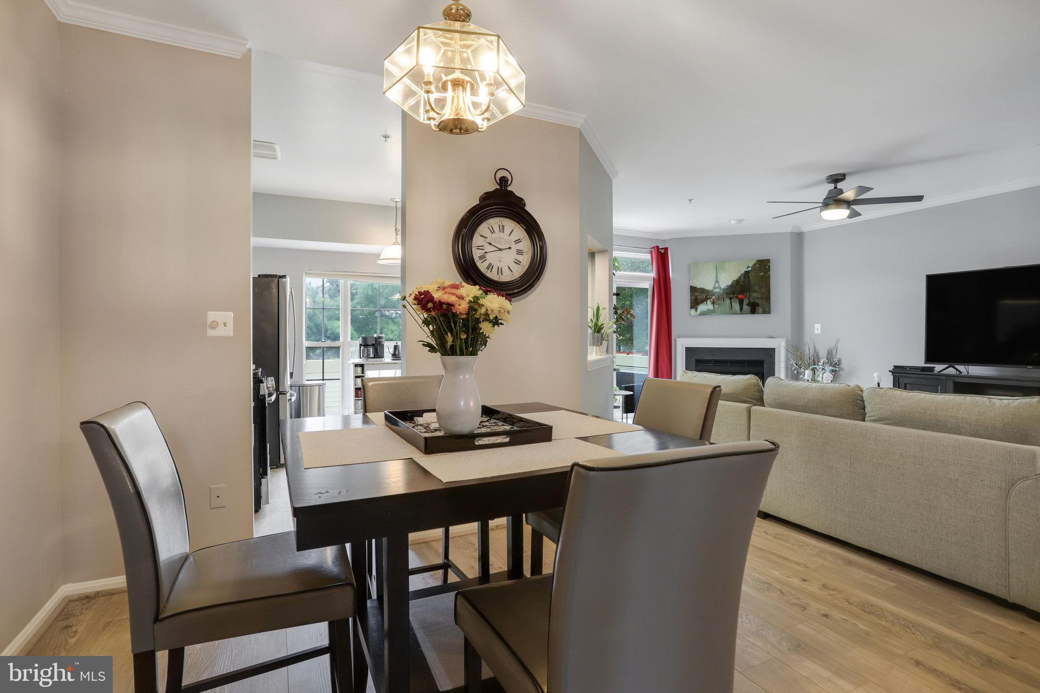 ASHBURN VILLAGE - Residential