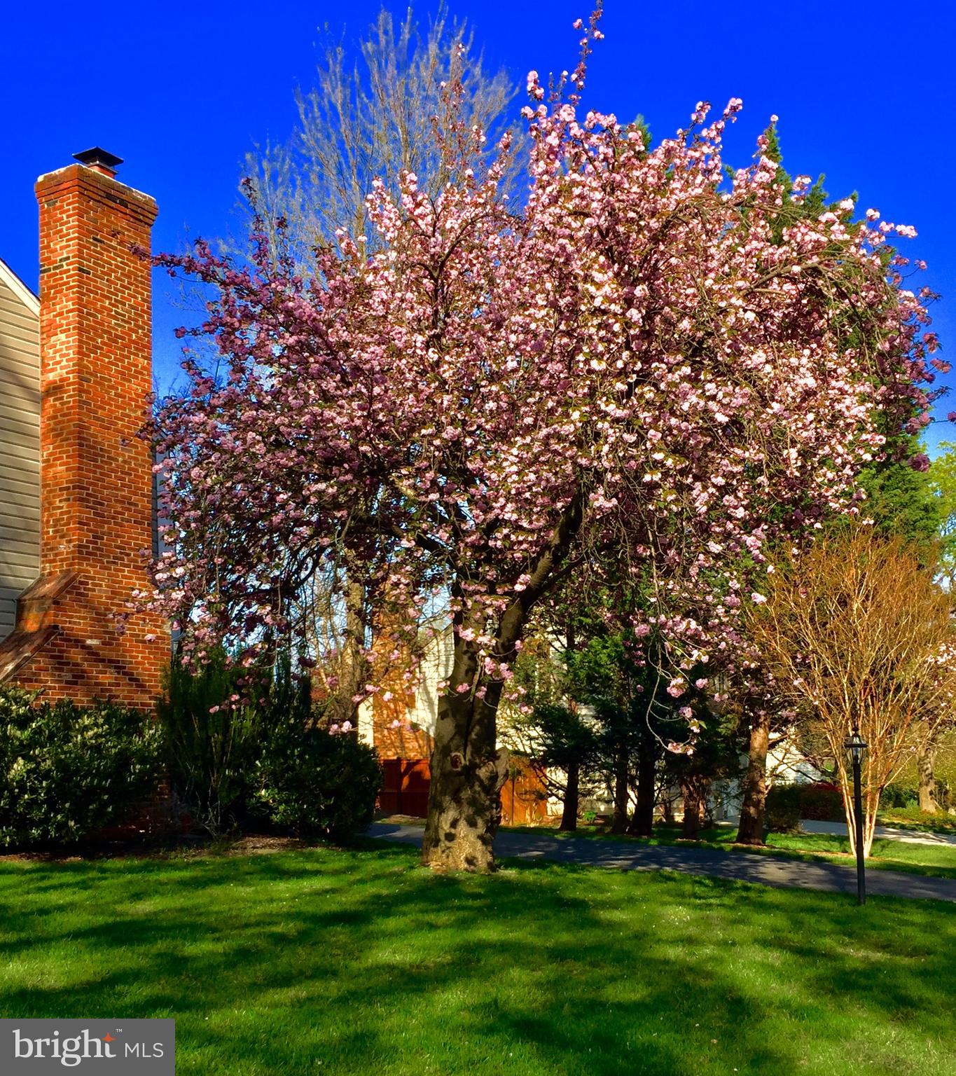 COPENHAVER - Residential