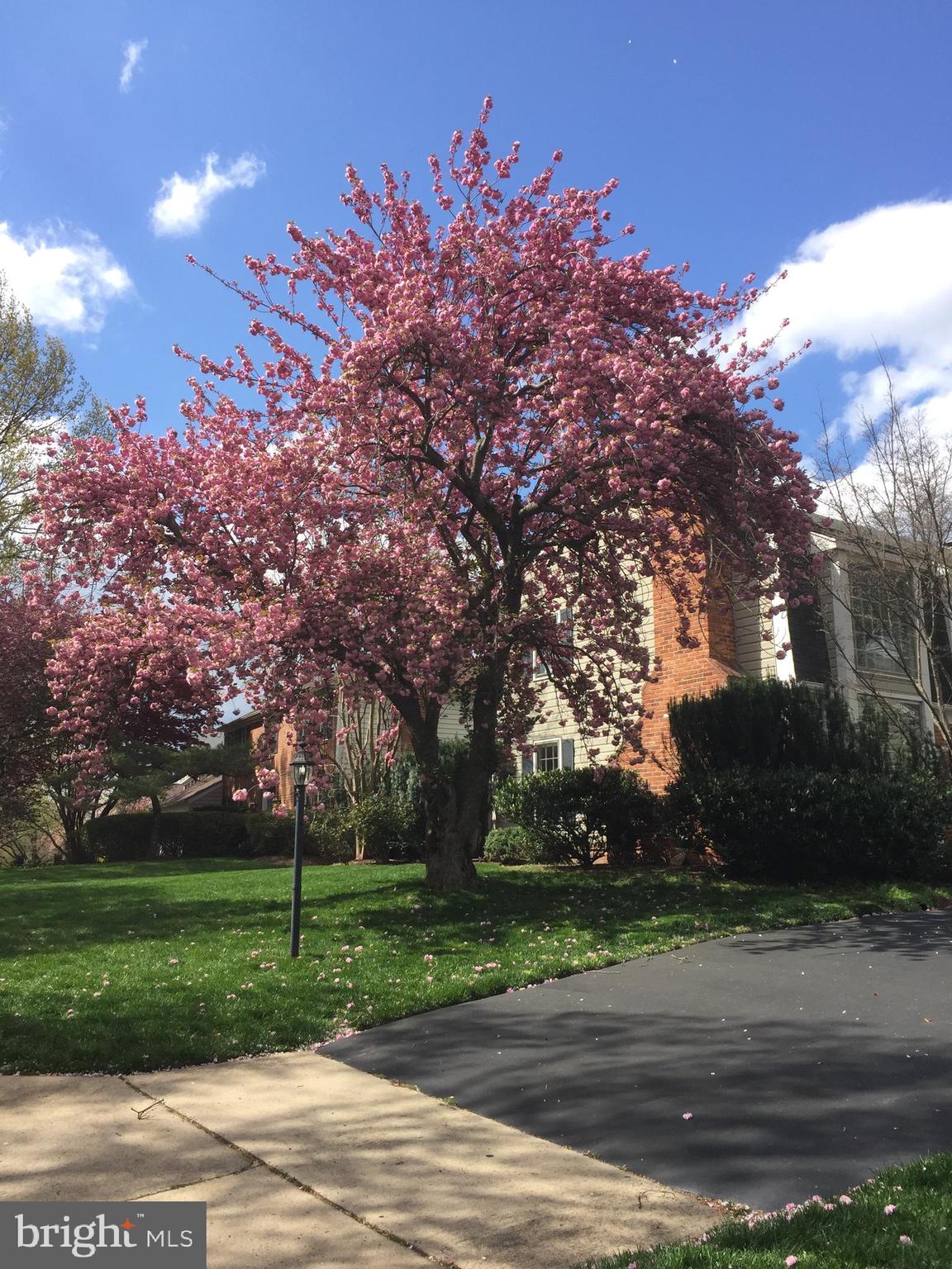 COPENHAVER - Residential