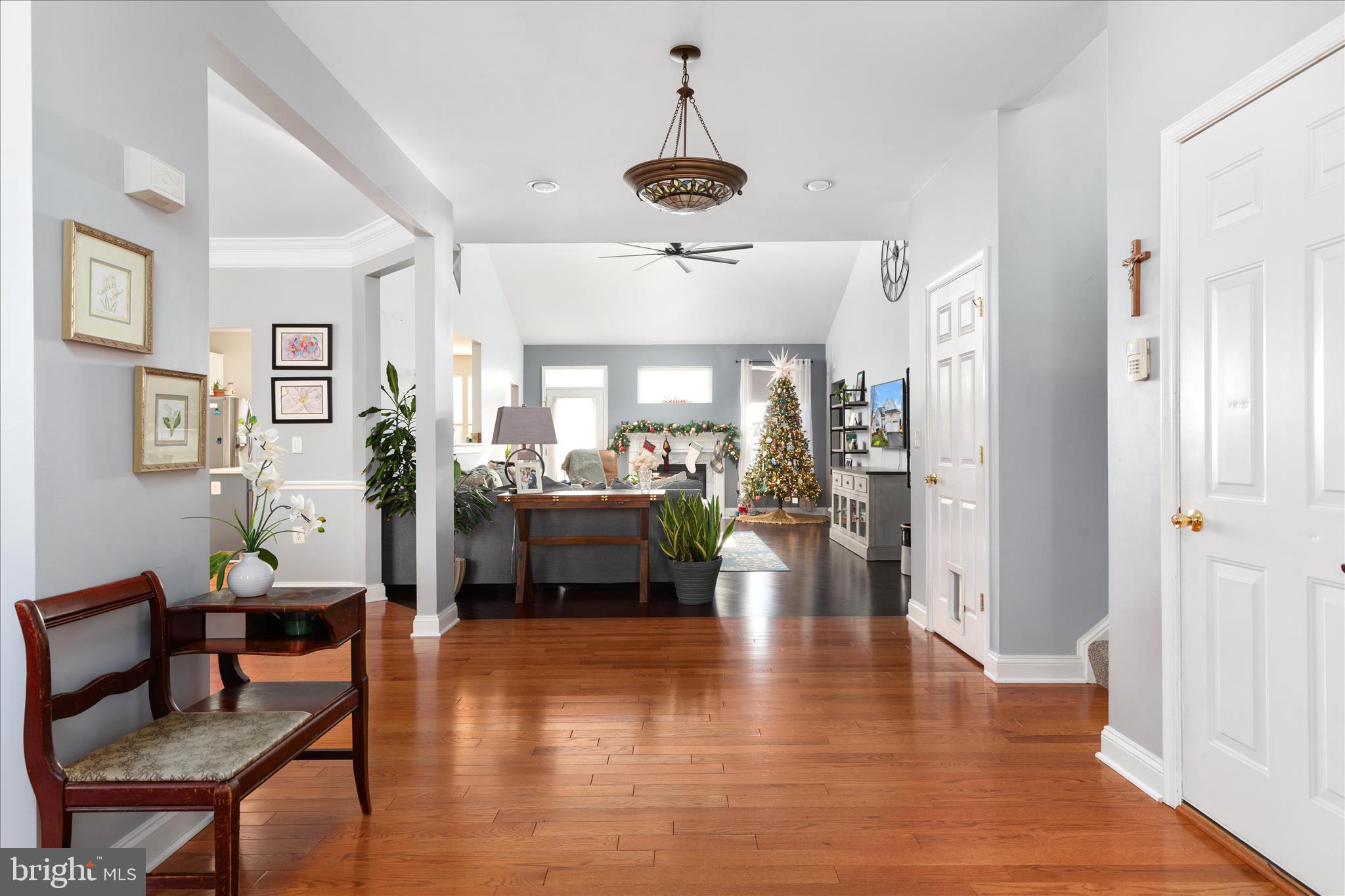 NORBORNE GLEBE - Residential