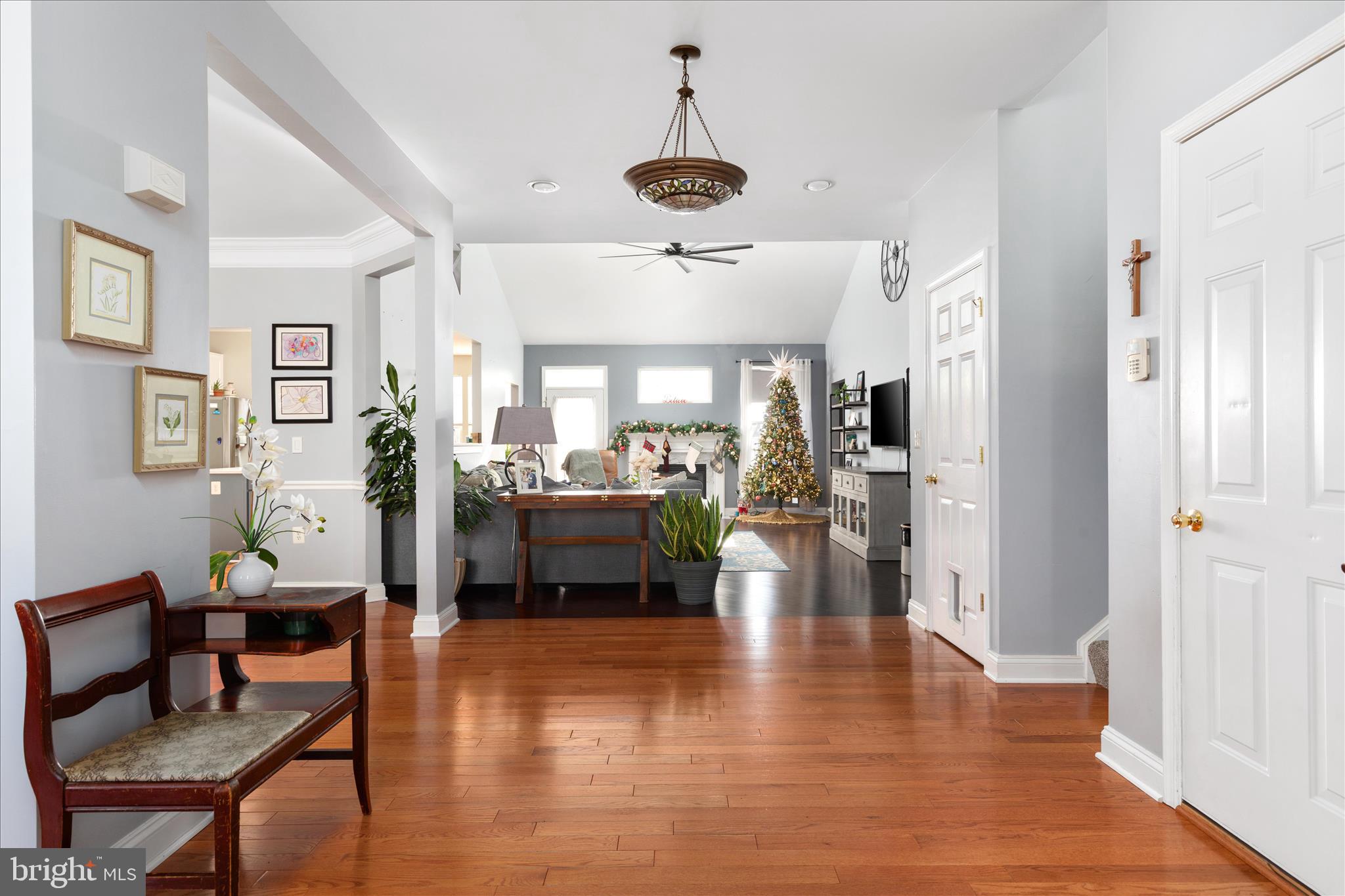 NORBORNE GLEBE - Residential