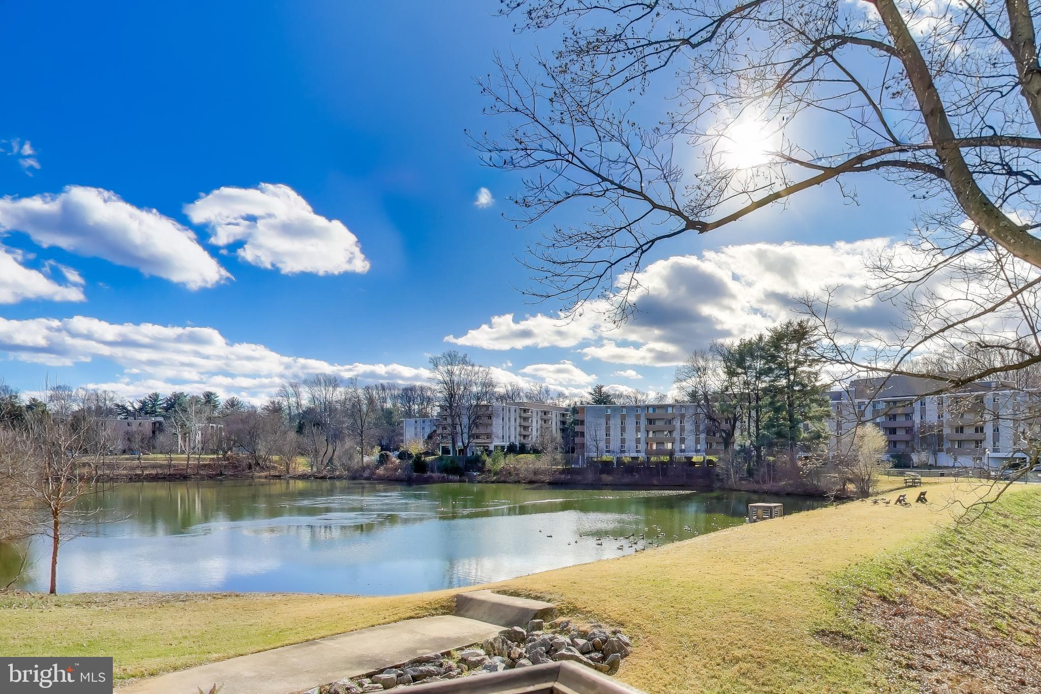 LAKESHORE - Residential Lease