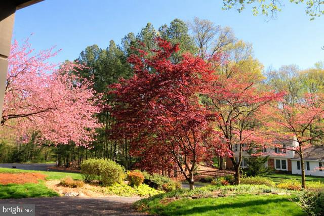 LEE PINES - Residential