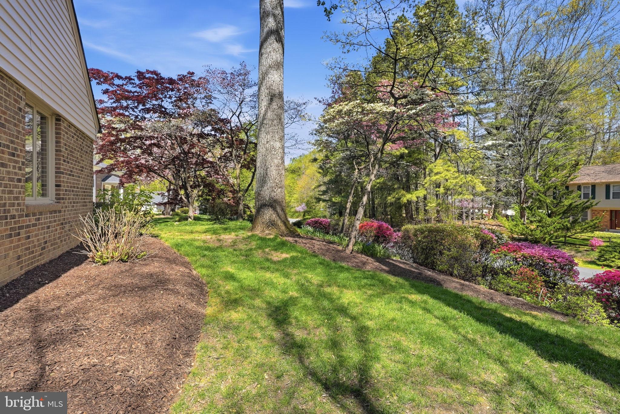 LEE PINES - Residential