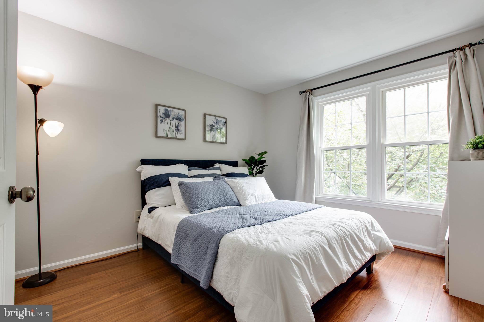 DORSEY SEARCH - Residential