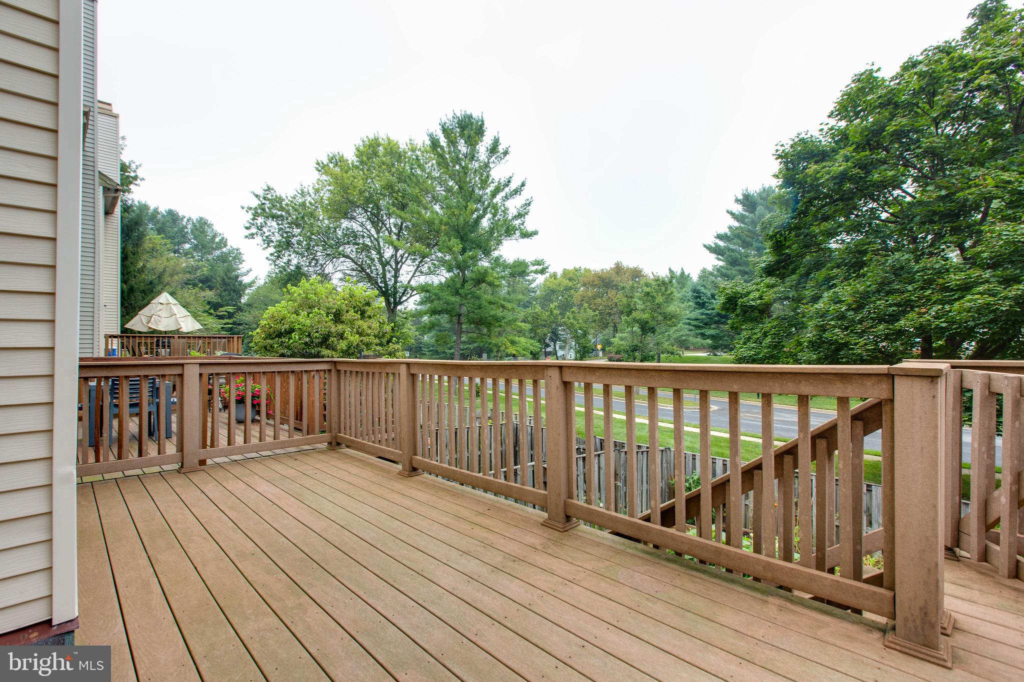 DORSEY SEARCH - Residential