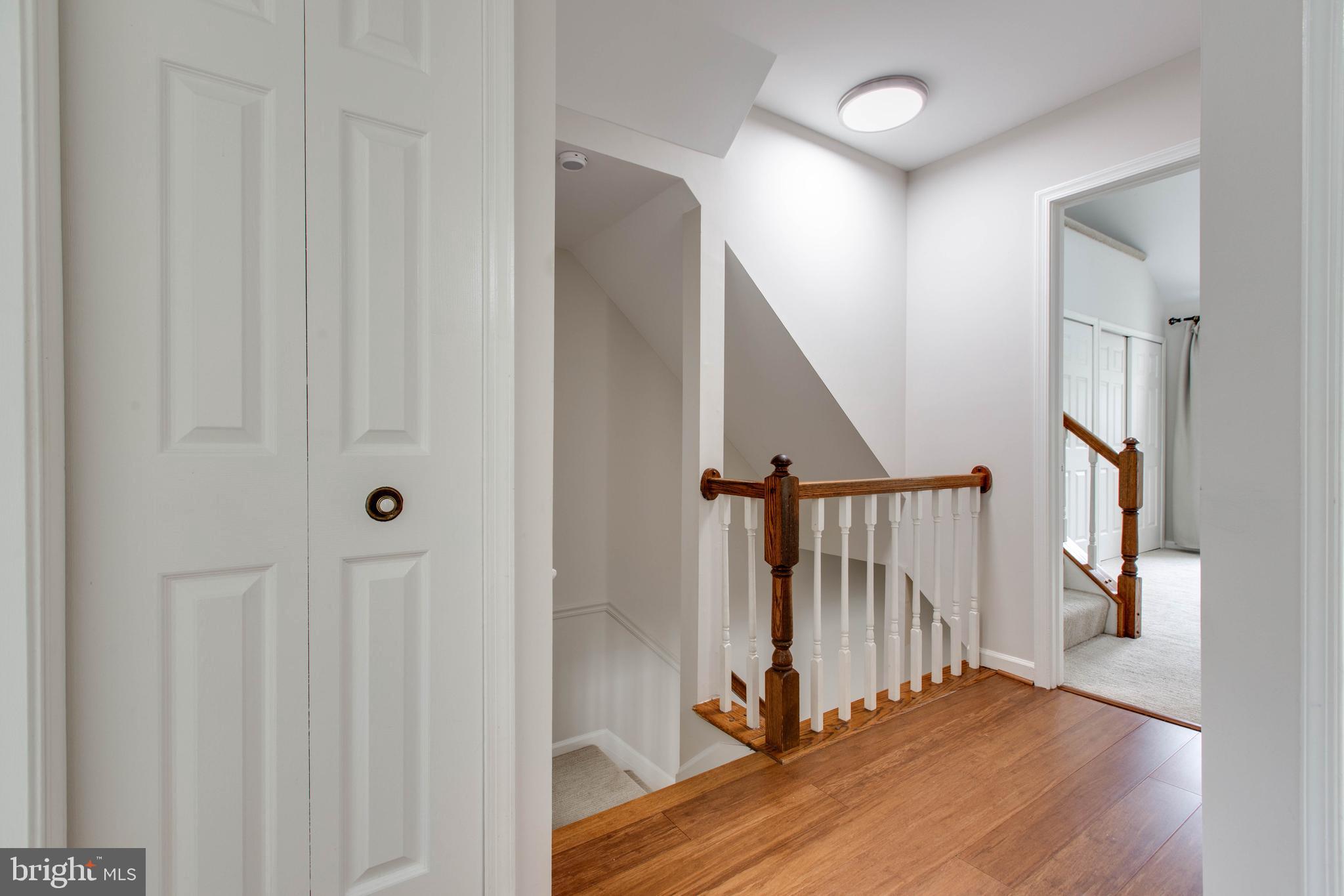 DORSEY SEARCH - Residential