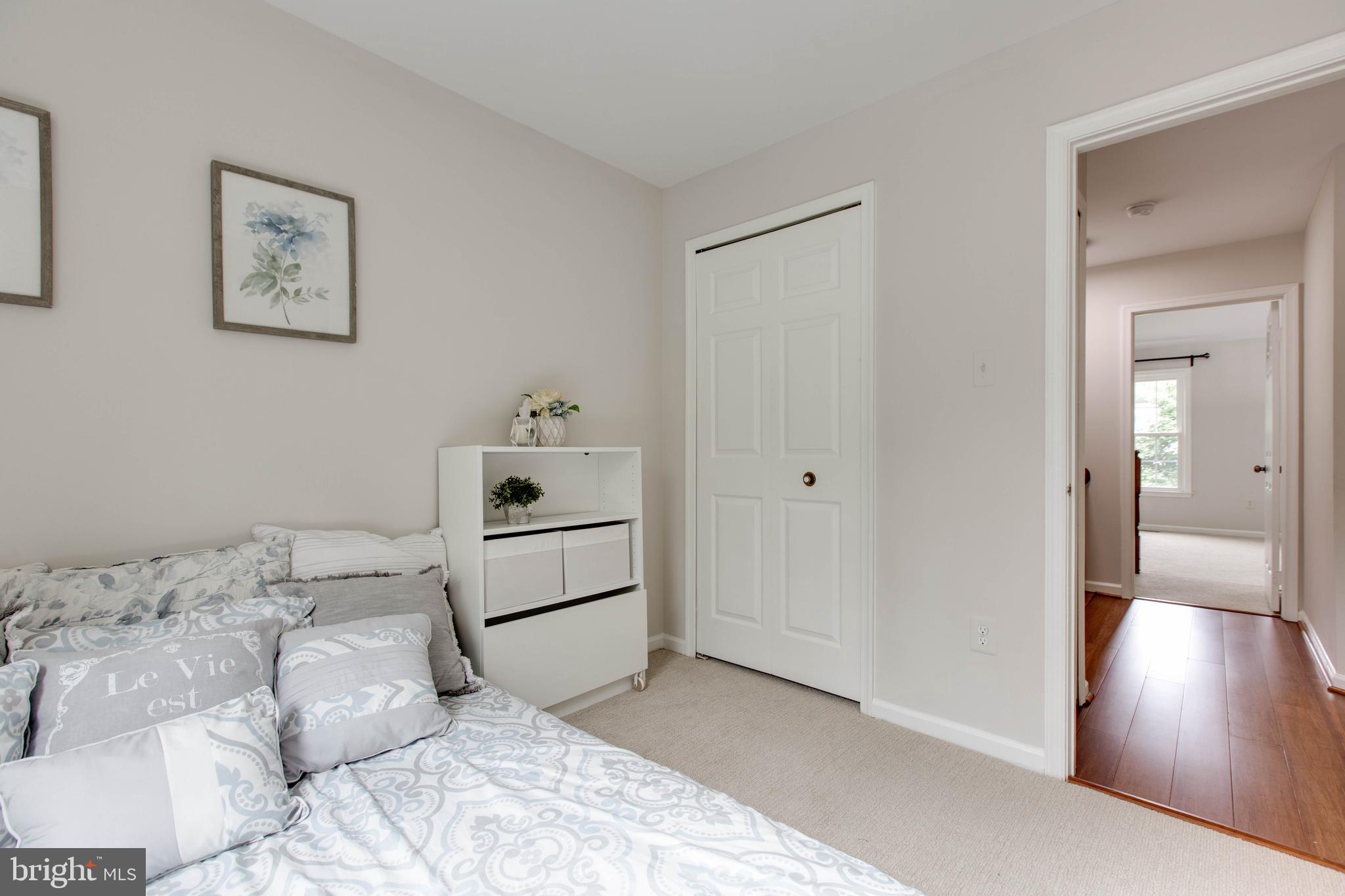 DORSEY SEARCH - Residential