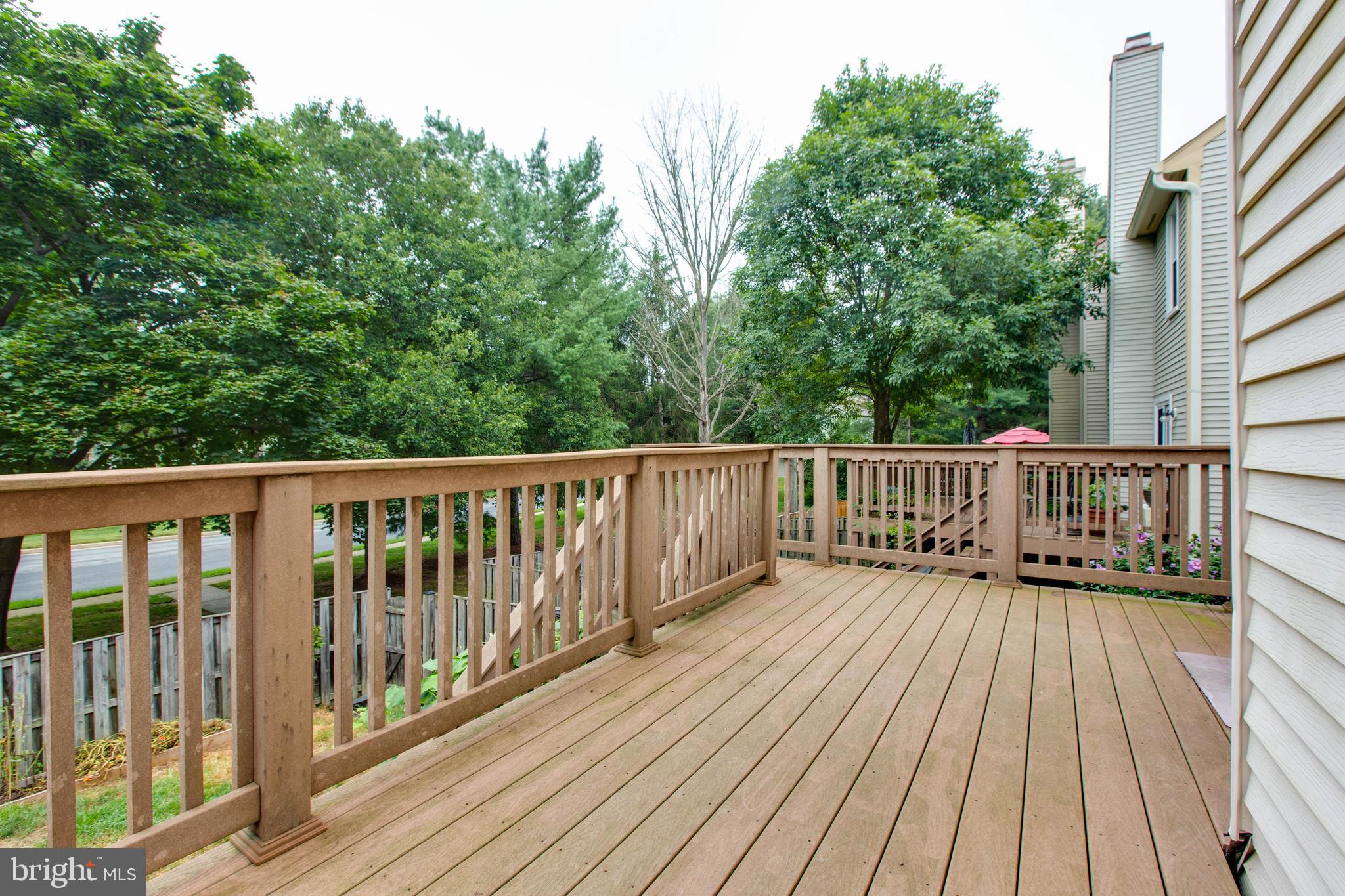 DORSEY SEARCH - Residential