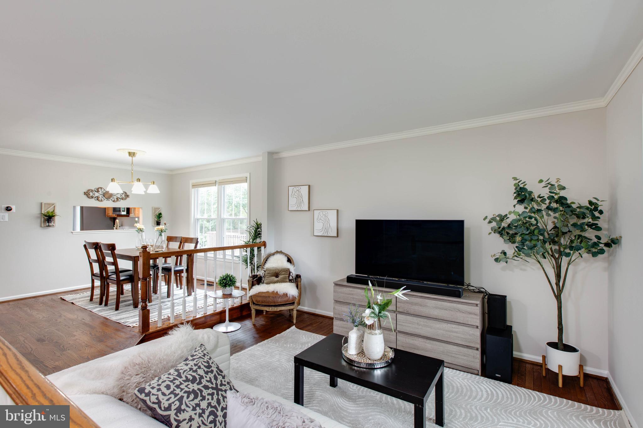 DORSEY SEARCH - Residential