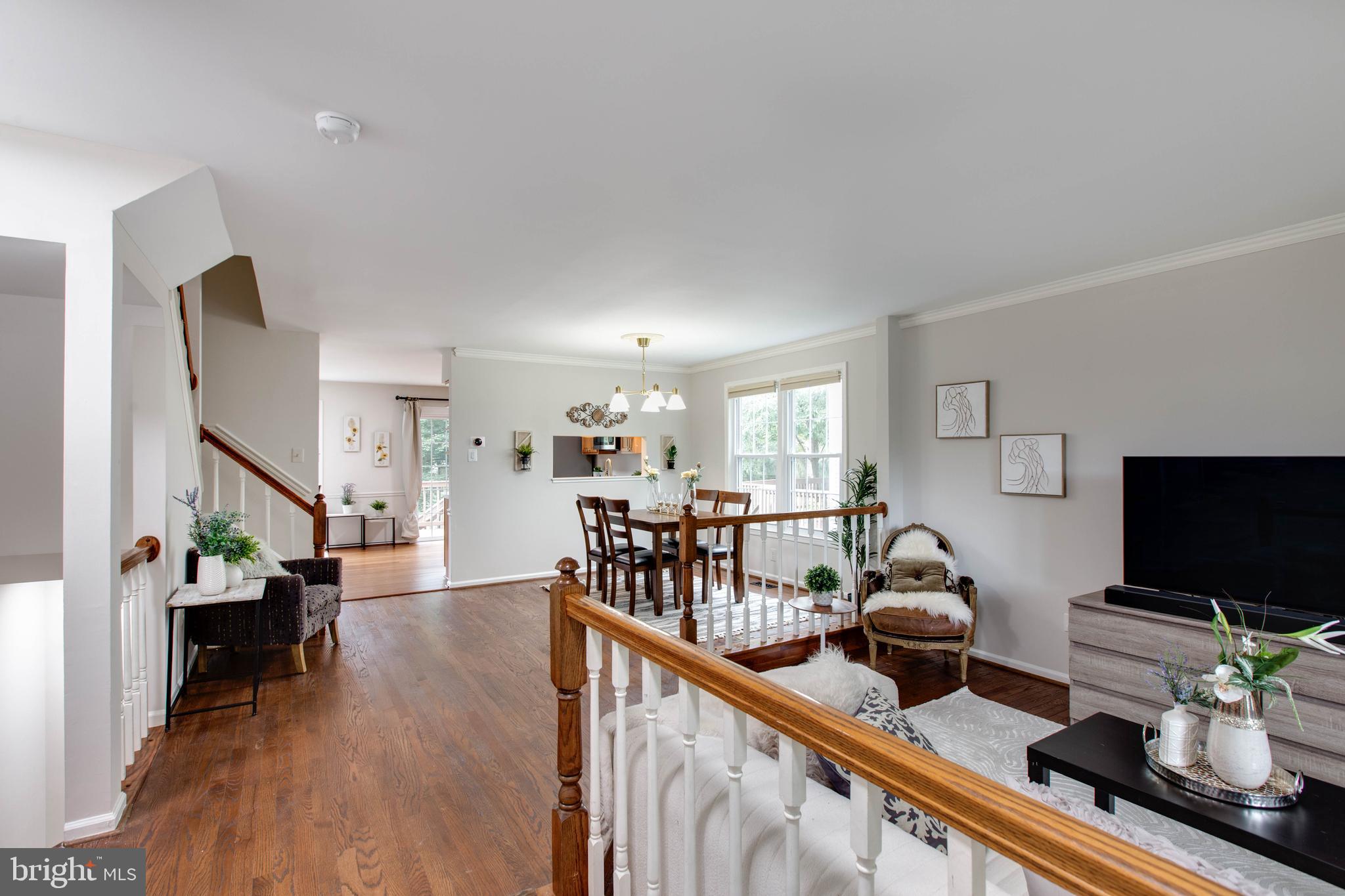 DORSEY SEARCH - Residential