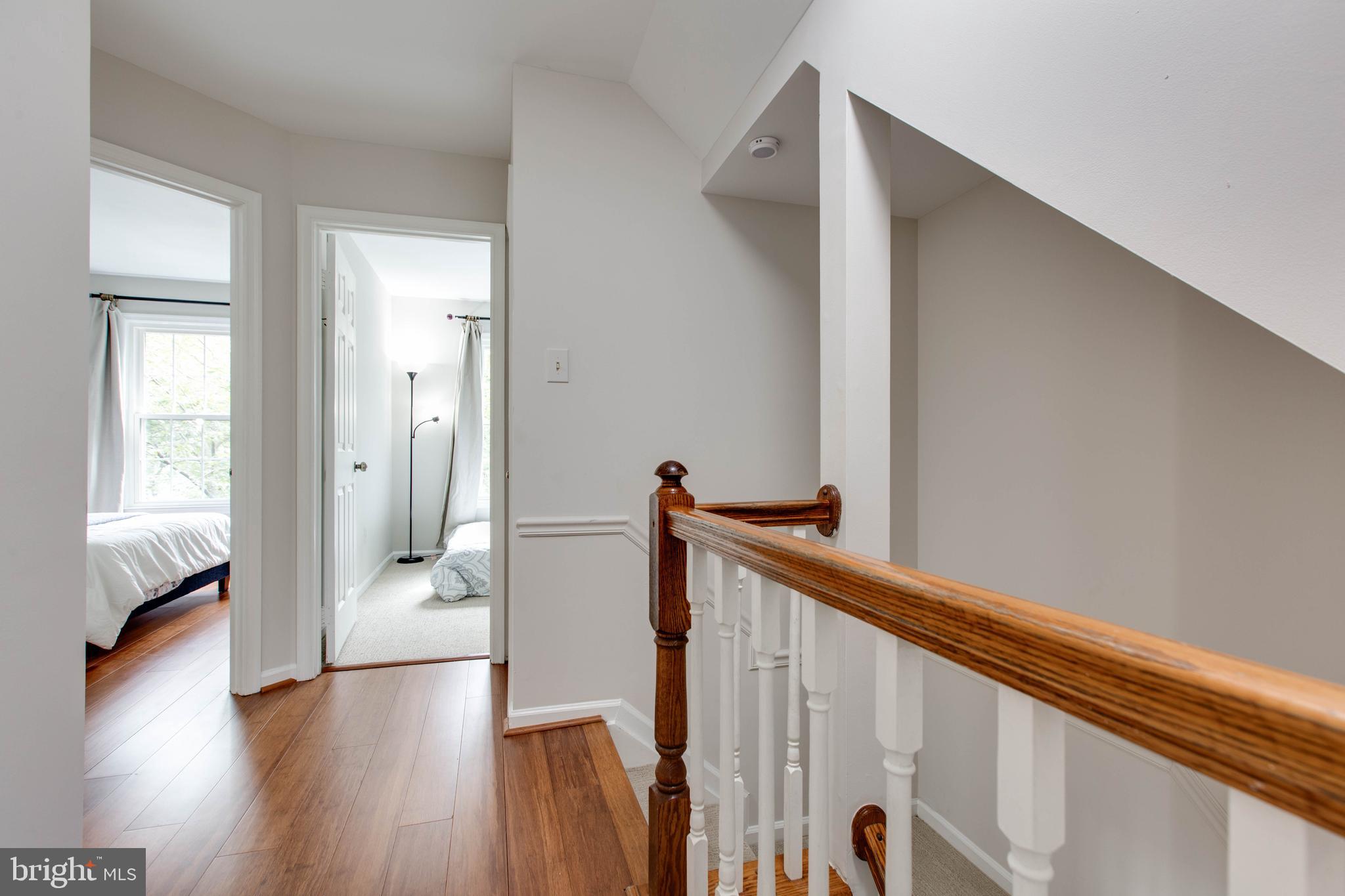 DORSEY SEARCH - Residential