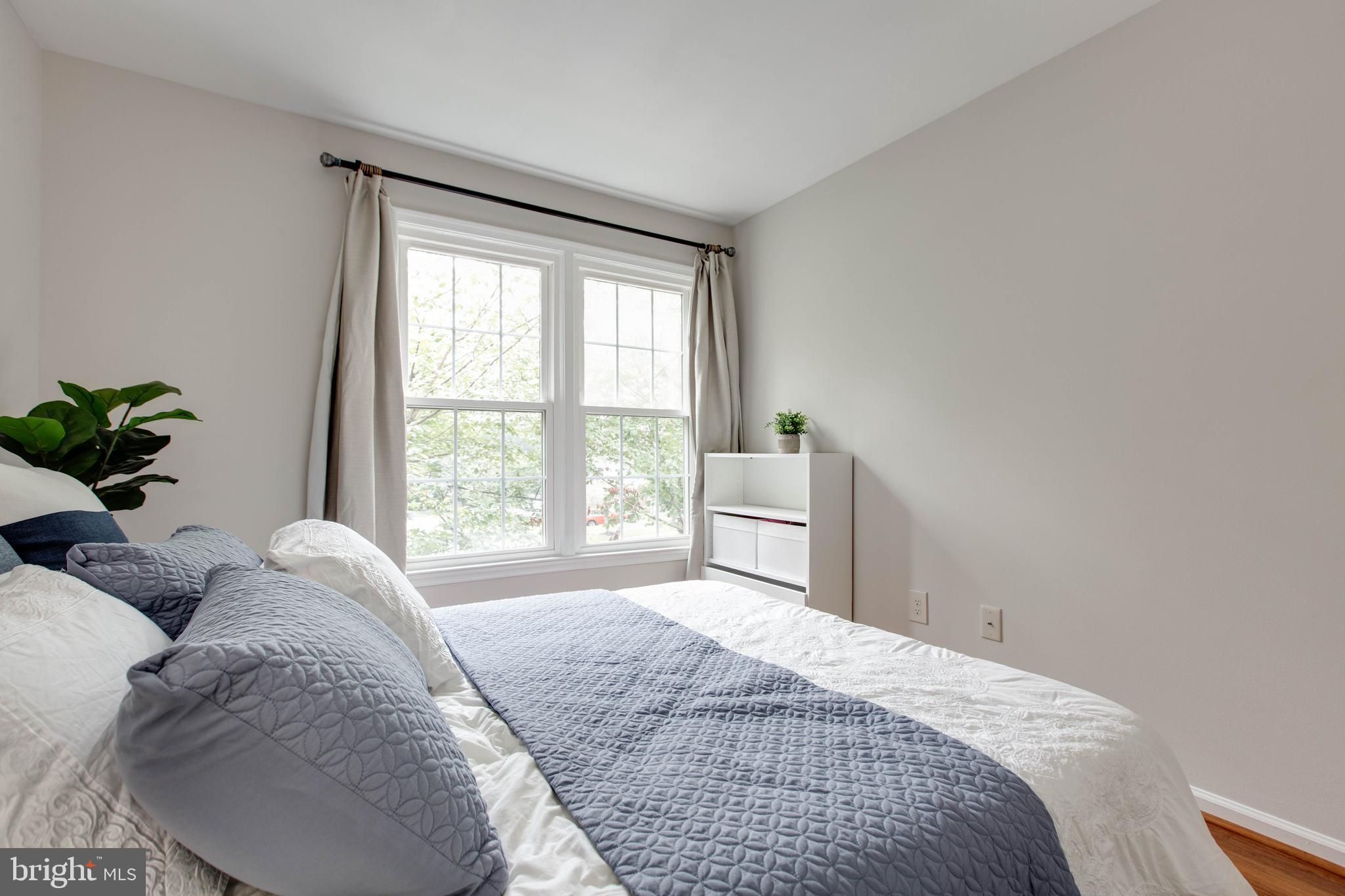 DORSEY SEARCH - Residential