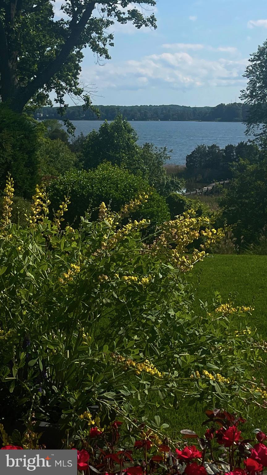 OLDE SEVERNA PARK - Residential